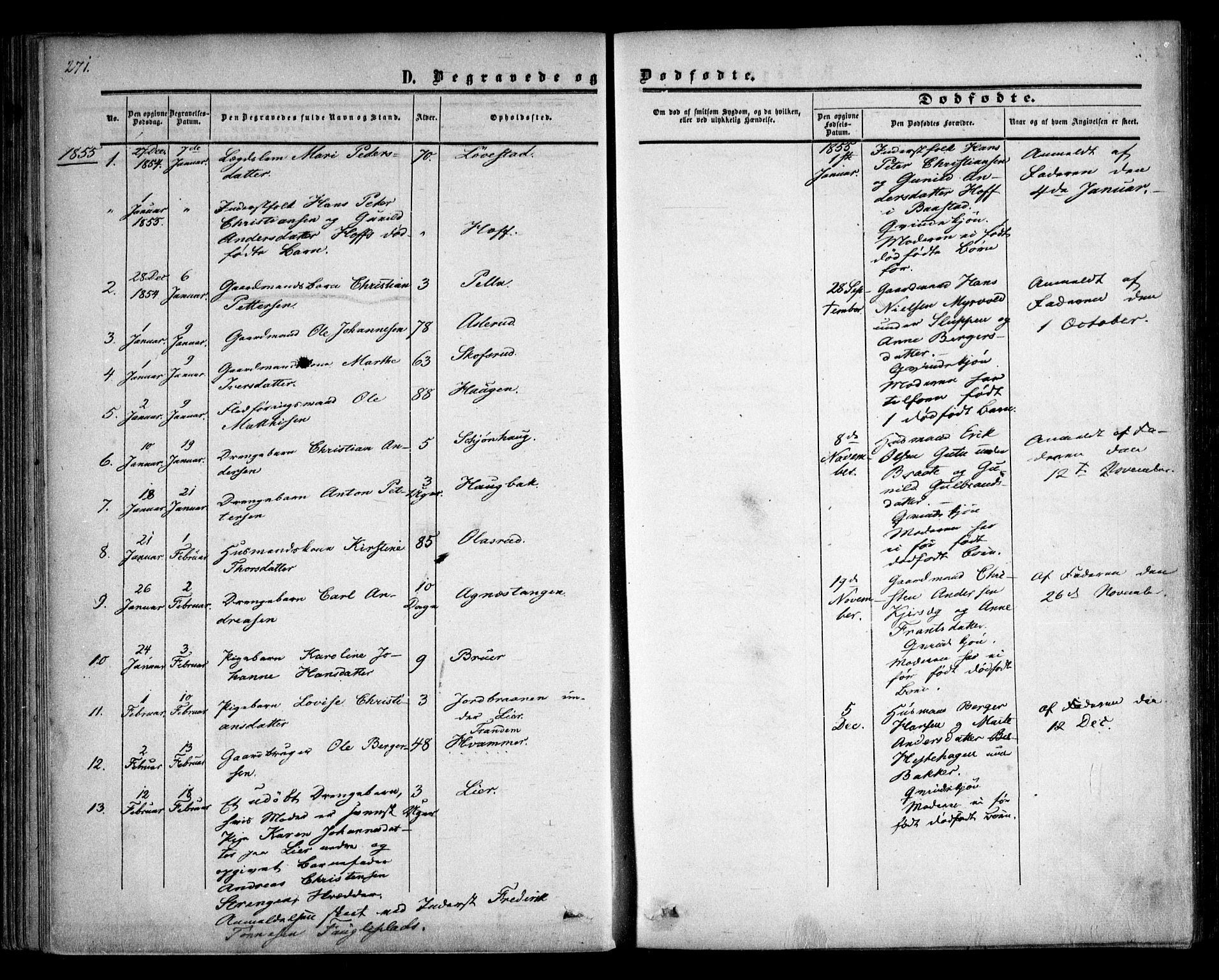 Trøgstad prestekontor Kirkebøker, AV/SAO-A-10925/F/Fa/L0008.b: Parish register (official) no. I 8B, 1855-1864, p. 271