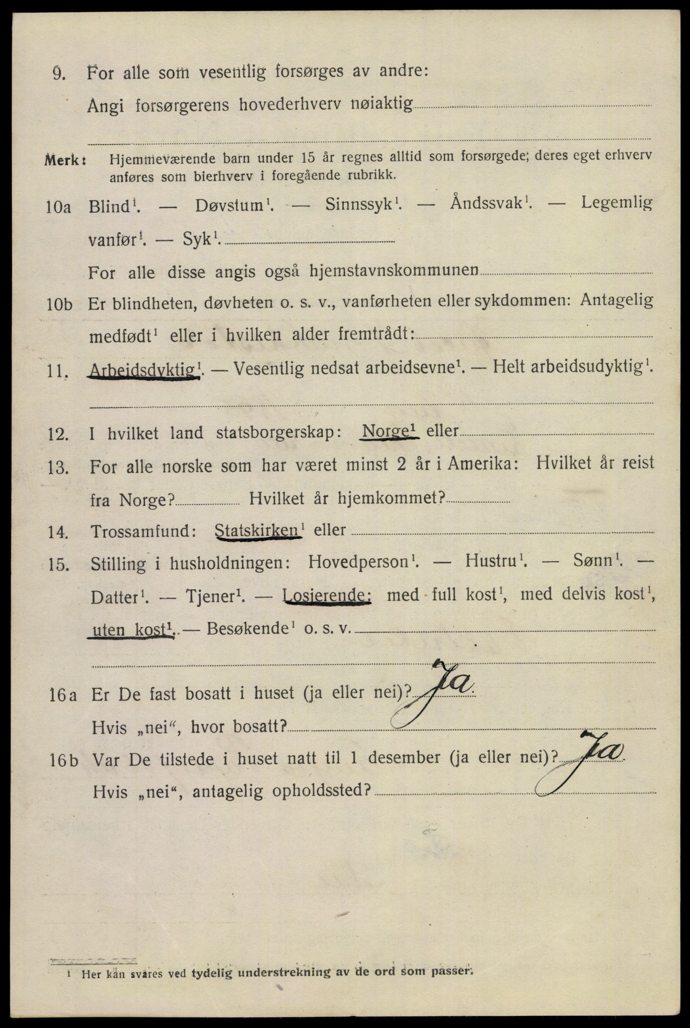 SAKO, 1920 census for Notodden, 1920, p. 6919