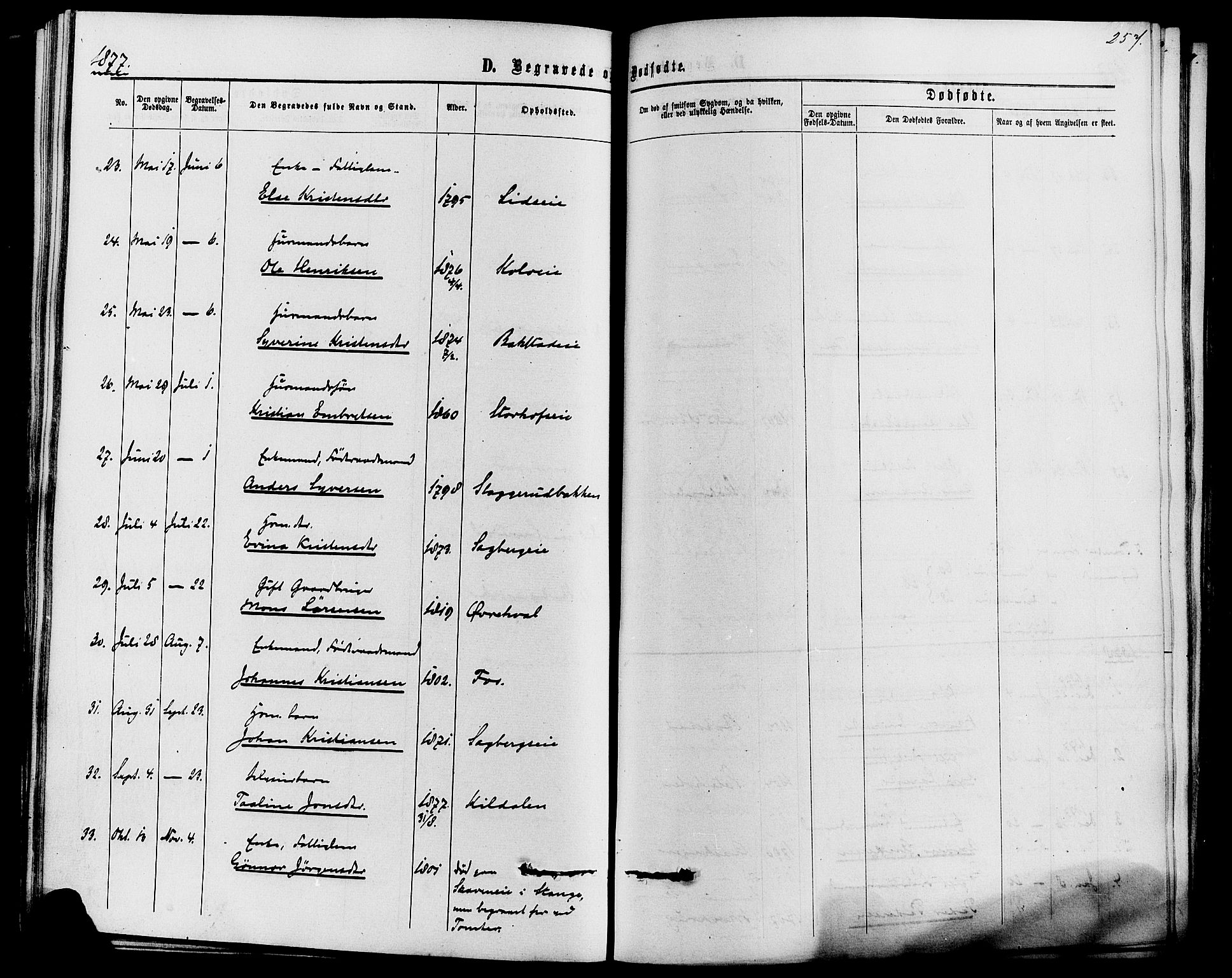 Romedal prestekontor, SAH/PREST-004/K/L0006: Parish register (official) no. 6, 1866-1886, p. 257
