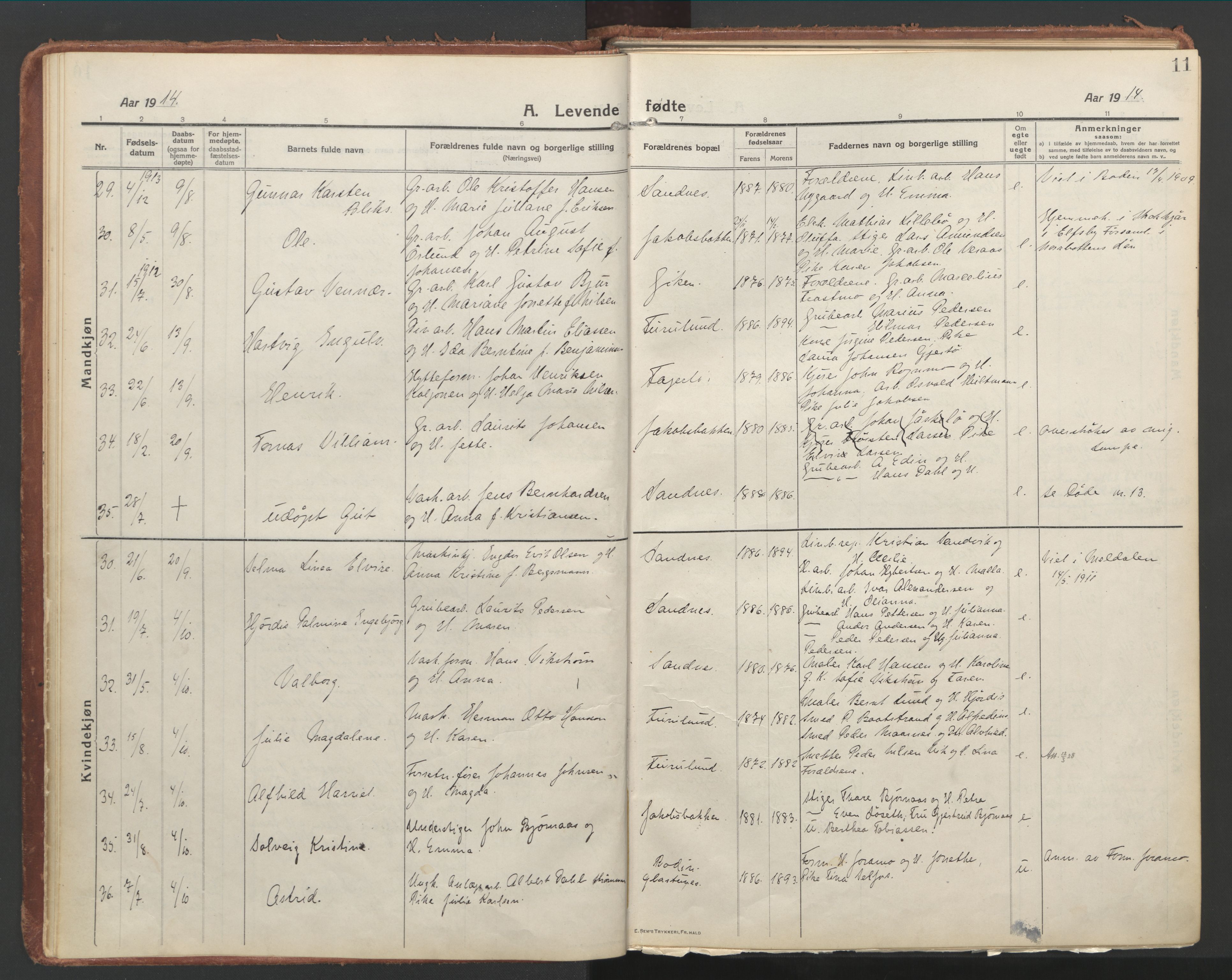 Ministerialprotokoller, klokkerbøker og fødselsregistre - Nordland, AV/SAT-A-1459/850/L0715: Curate's parish register no. 850B05, 1913-1924, p. 11