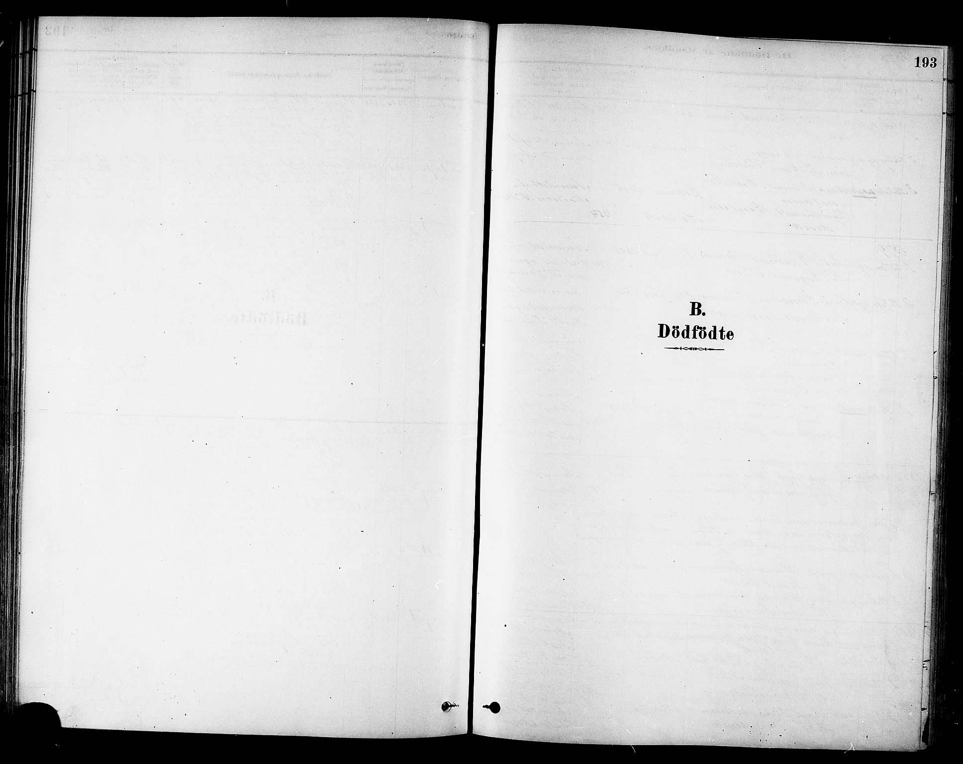 Ministerialprotokoller, klokkerbøker og fødselsregistre - Sør-Trøndelag, AV/SAT-A-1456/695/L1148: Parish register (official) no. 695A08, 1878-1891, p. 193