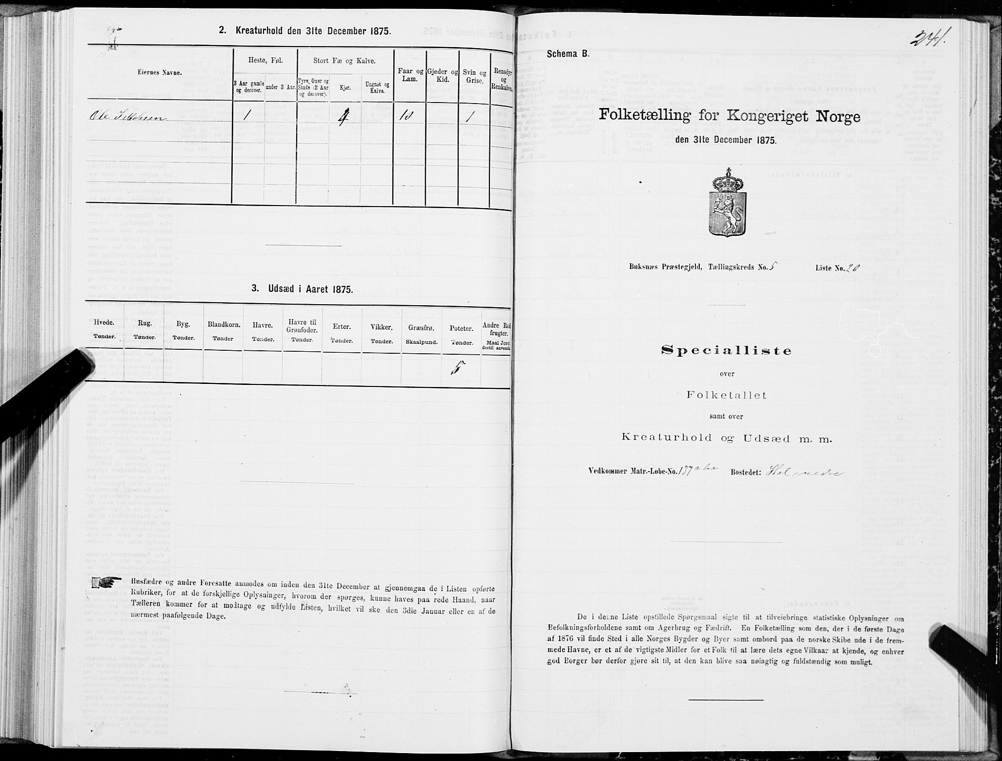 SAT, 1875 census for 1860P Buksnes, 1875, p. 2241