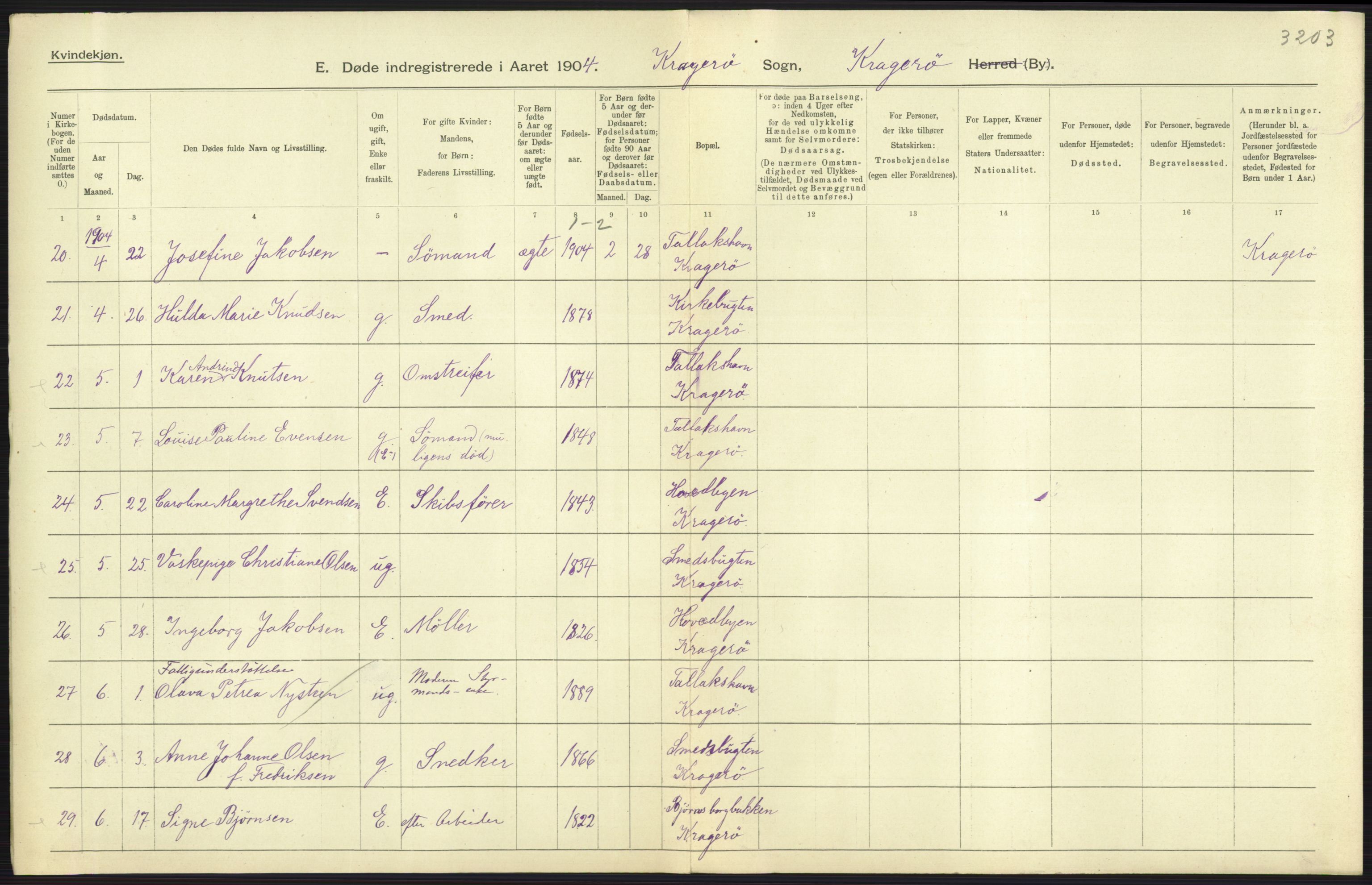 Statistisk sentralbyrå, Sosiodemografiske emner, Befolkning, AV/RA-S-2228/D/Df/Dfa/Dfab/L0009: Bratsberg amt: Fødte, gifte, døde, 1904, p. 755