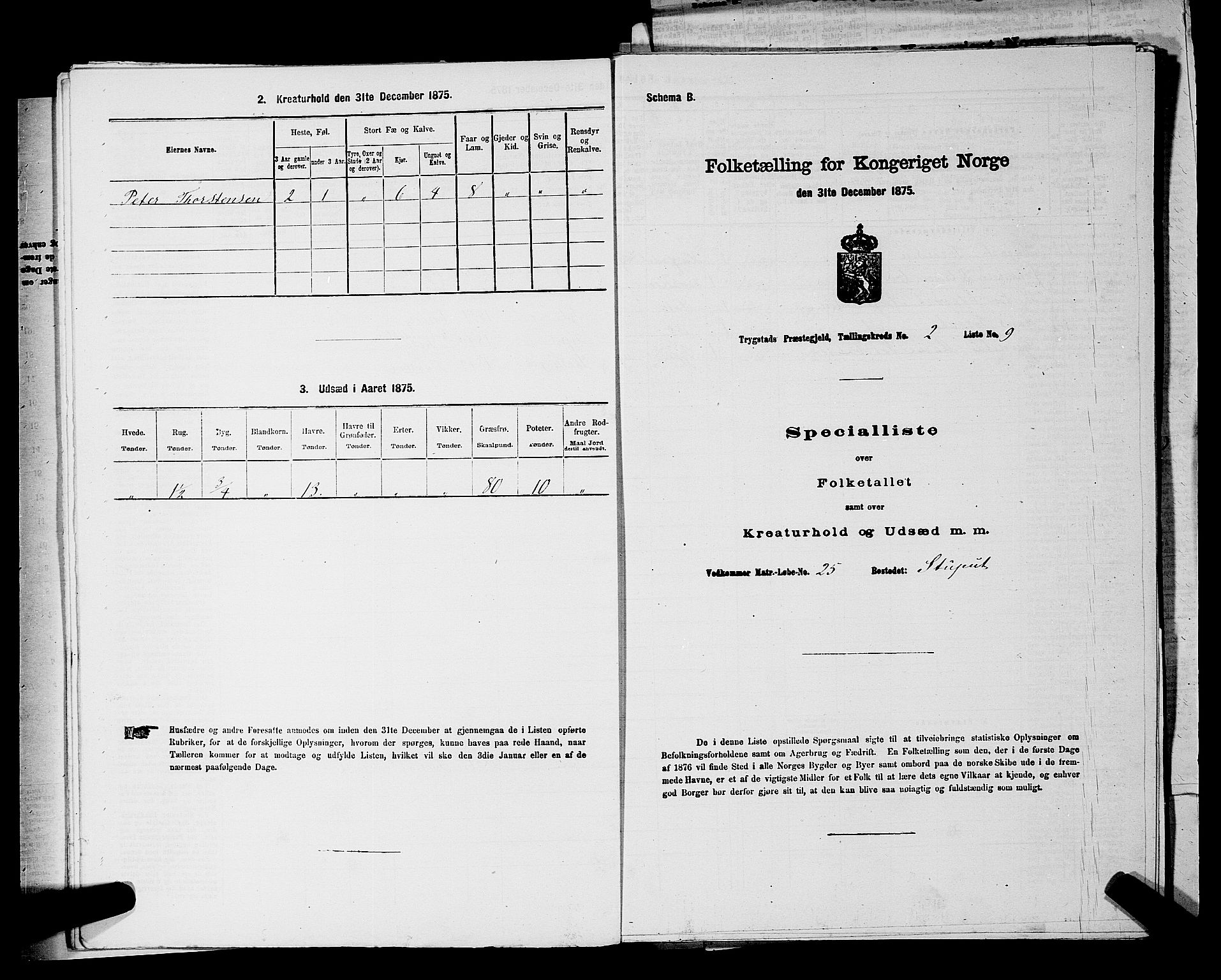 RA, 1875 census for 0122P Trøgstad, 1875, p. 172