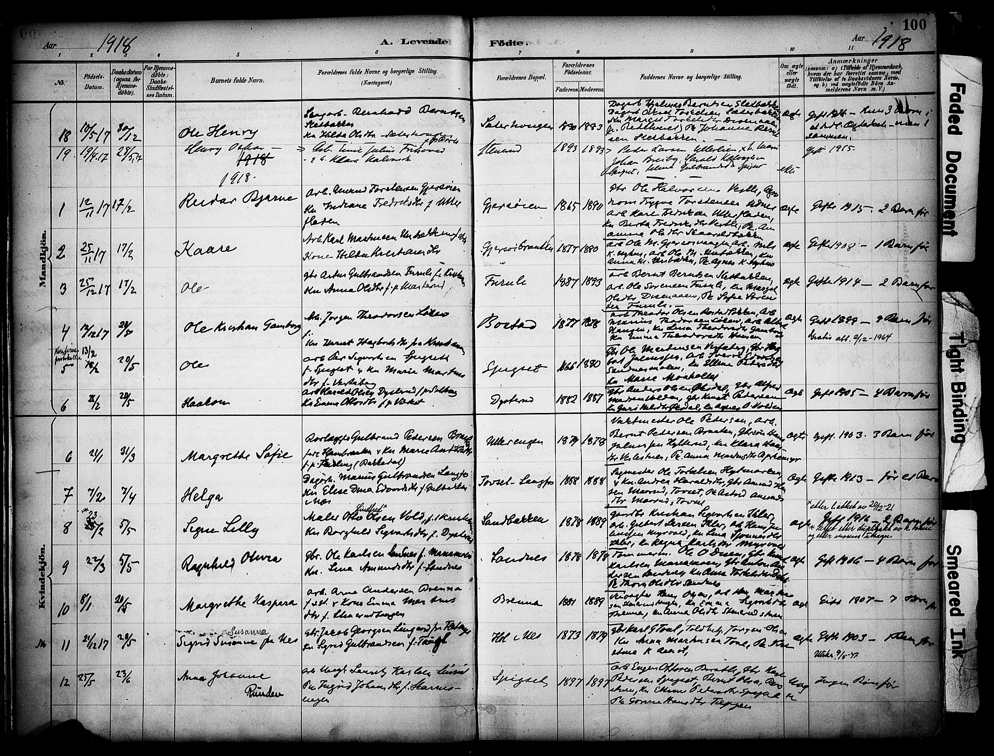 Sør-Odal prestekontor, AV/SAH-PREST-030/H/Ha/Haa/L0008: Parish register (official) no. 8, 1886-1922, p. 100