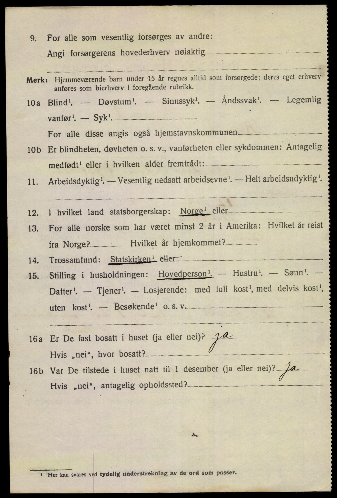 SAKO, 1920 census for Brevik, 1920, p. 6029