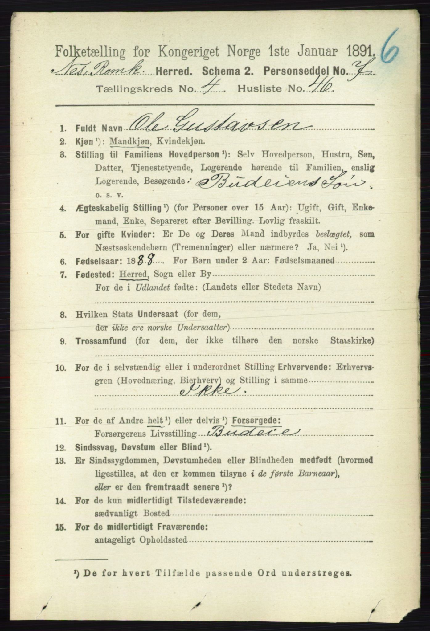 RA, 1891 census for 0236 Nes, 1891, p. 2523