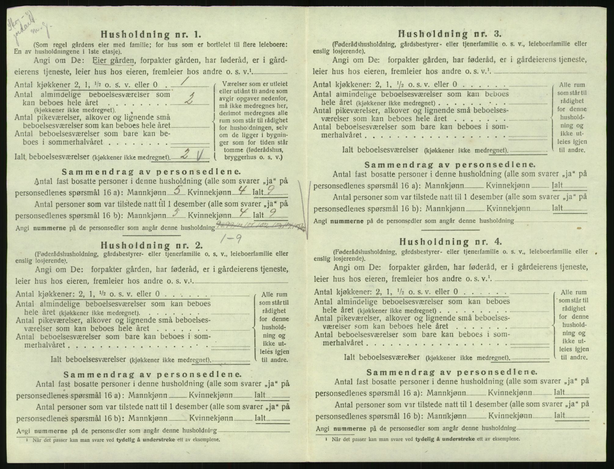 SAK, 1920 census for Hornnes, 1920, p. 240