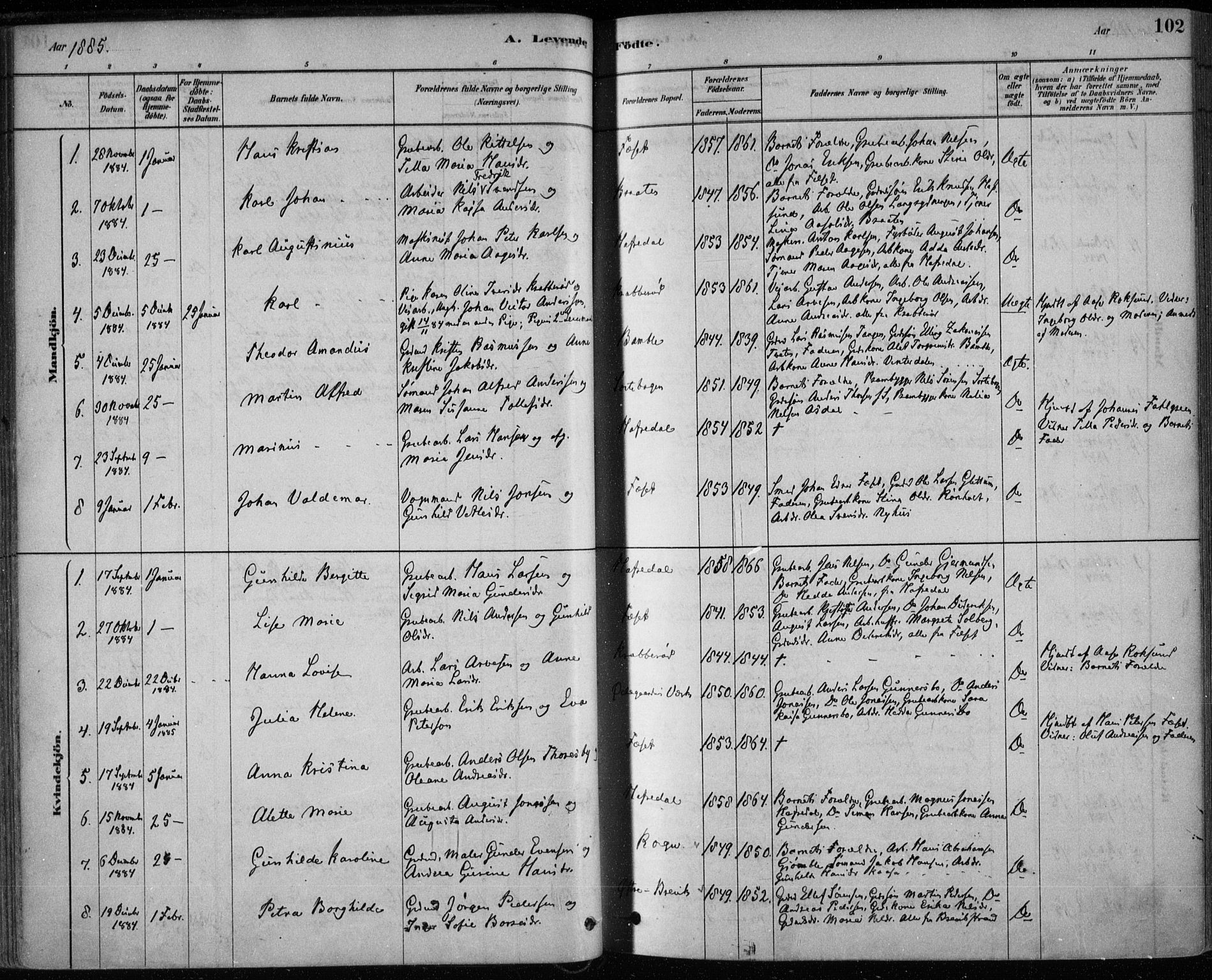 Bamble kirkebøker, SAKO/A-253/F/Fa/L0007: Parish register (official) no. I 7, 1878-1888, p. 102
