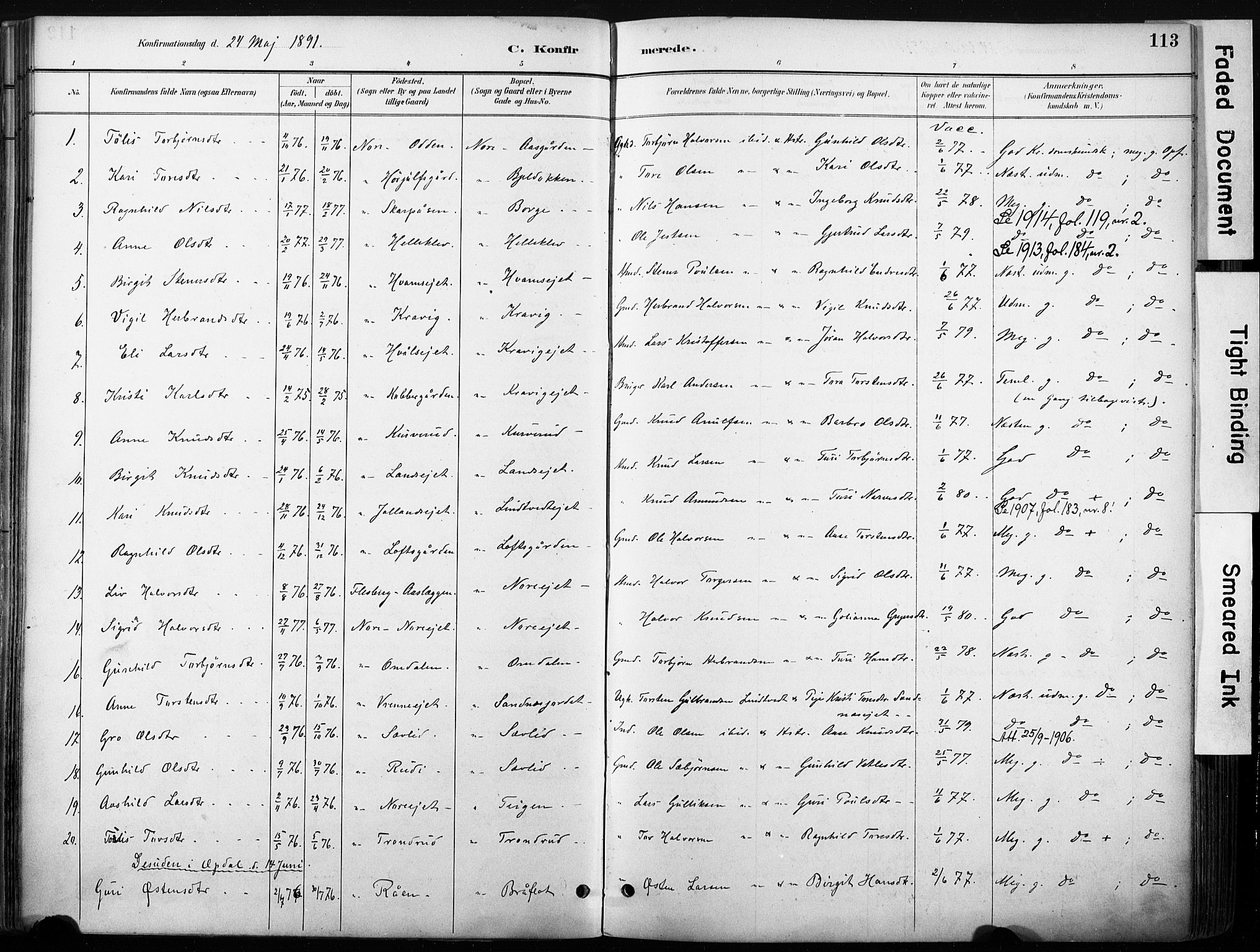 Nore kirkebøker, SAKO/A-238/F/Fb/L0002: Parish register (official) no. II 2, 1886-1906, p. 113