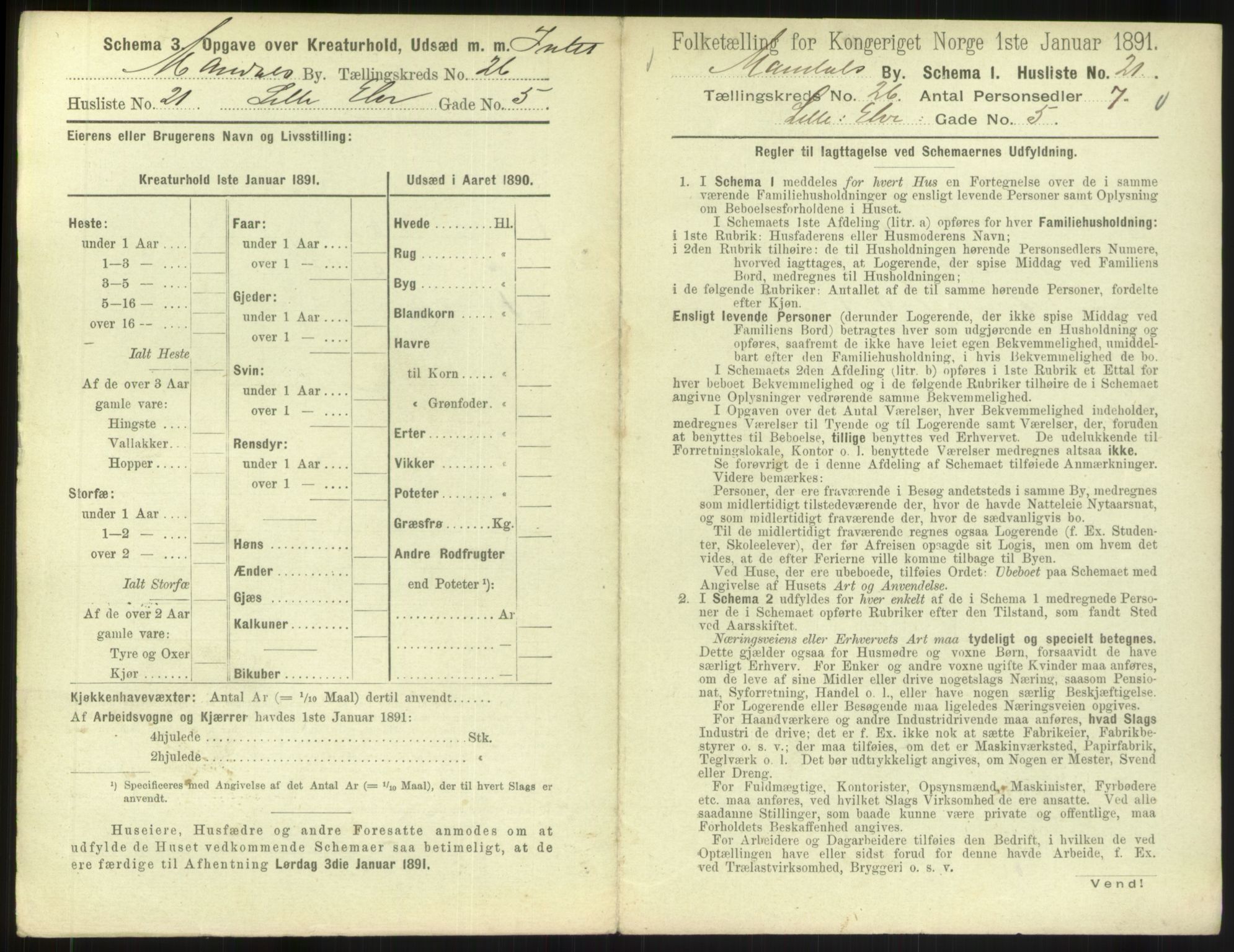 RA, 1891 census for 1002 Mandal, 1891, p. 1189