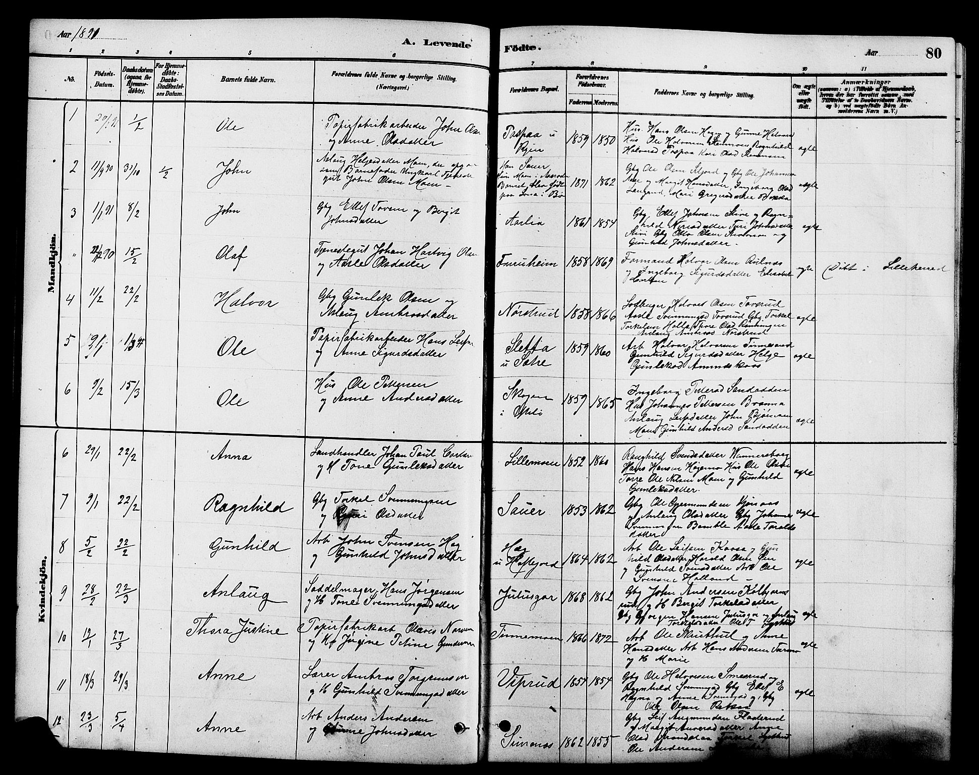 Heddal kirkebøker, AV/SAKO-A-268/G/Ga/L0002: Parish register (copy) no. I 2, 1879-1908, p. 80