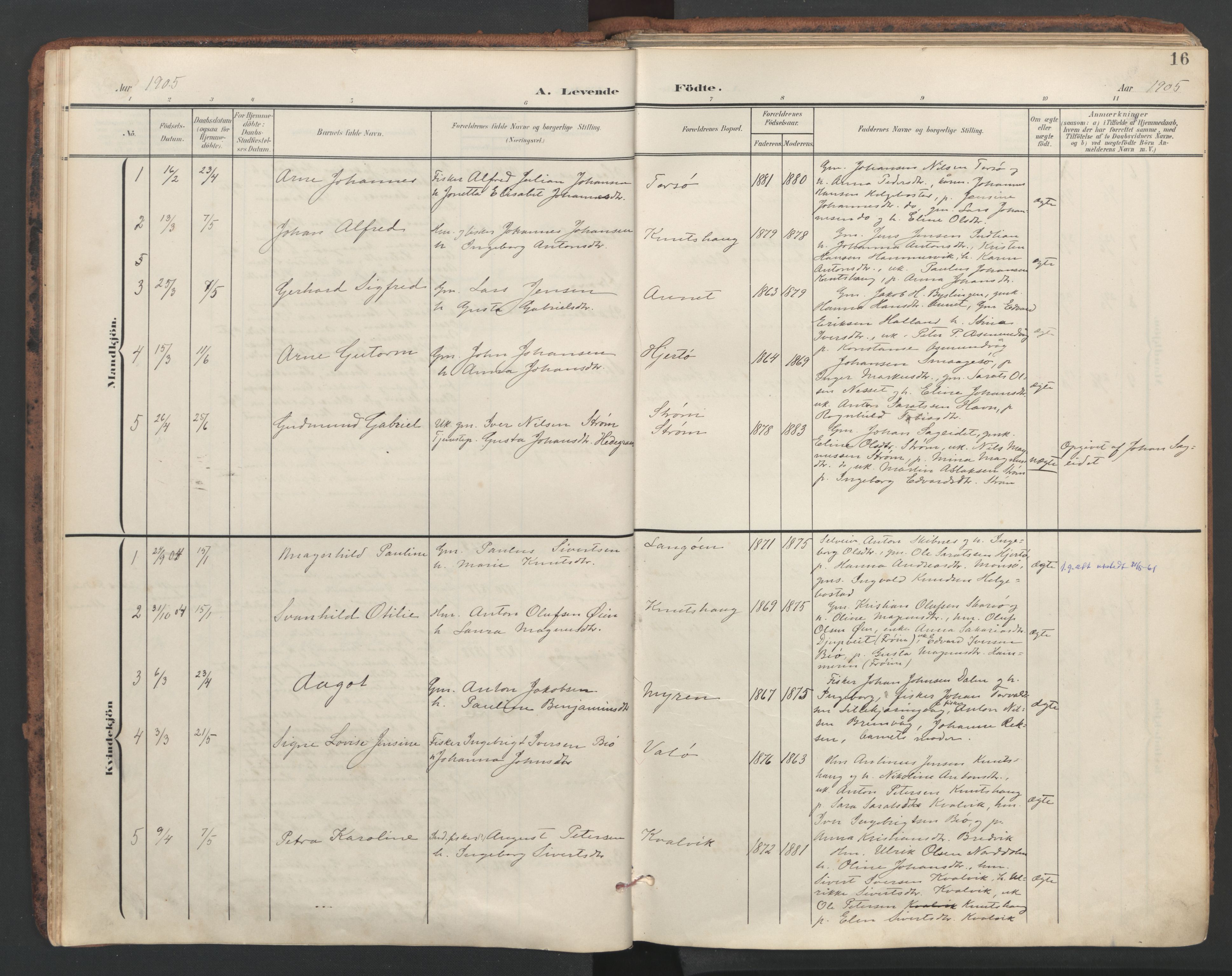 Ministerialprotokoller, klokkerbøker og fødselsregistre - Sør-Trøndelag, SAT/A-1456/634/L0537: Parish register (official) no. 634A13, 1896-1922, p. 16