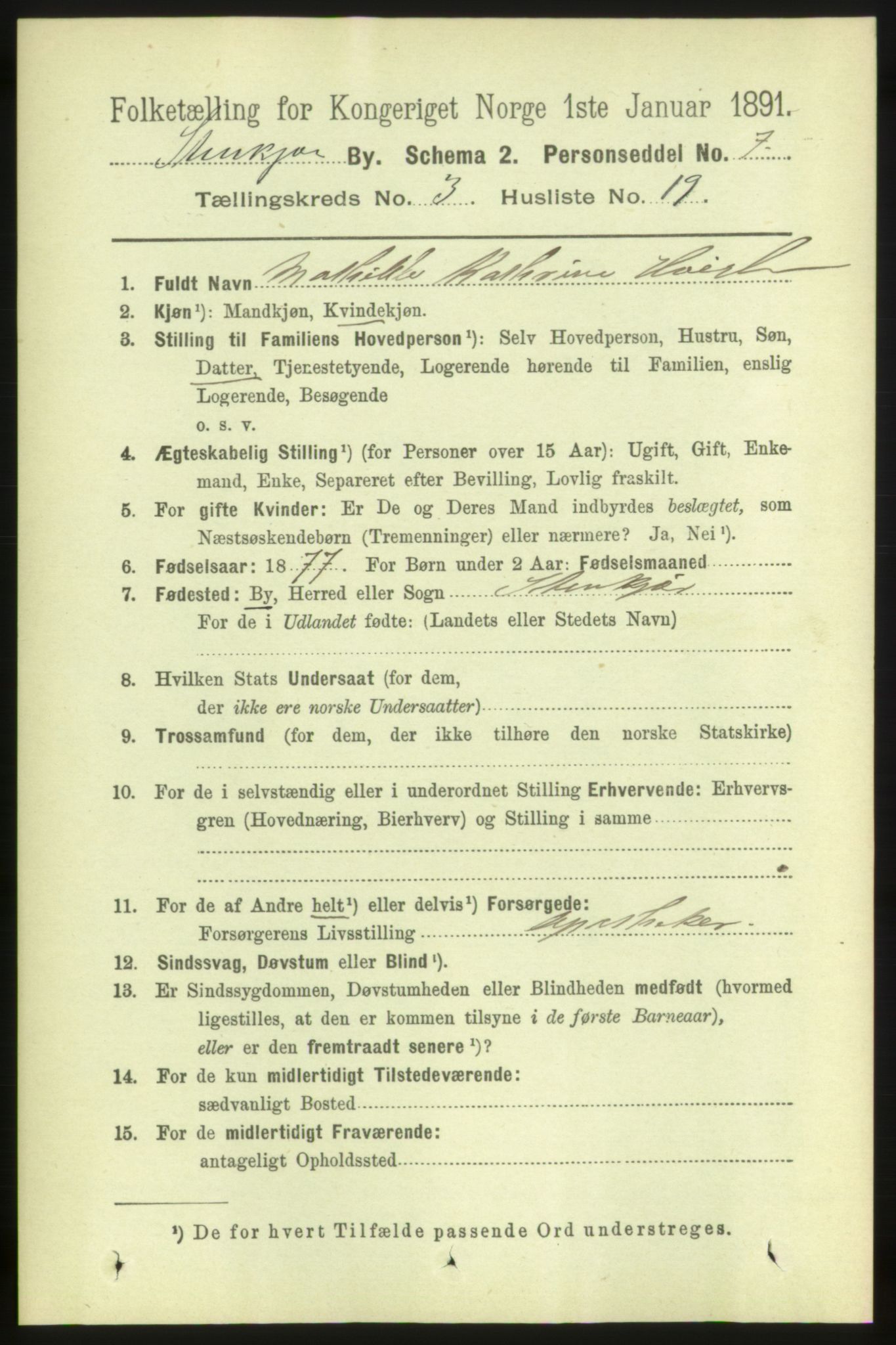 RA, 1891 census for 1702 Steinkjer, 1891, p. 1019