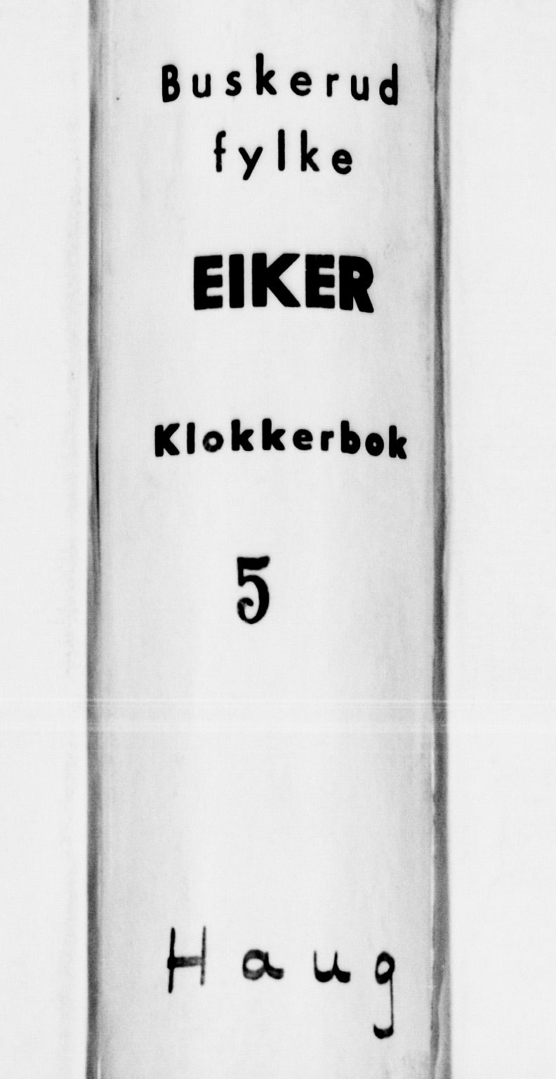 Eiker kirkebøker, AV/SAKO-A-4/G/Ga/L0005: Parish register (copy) no. I 5, 1878-1887