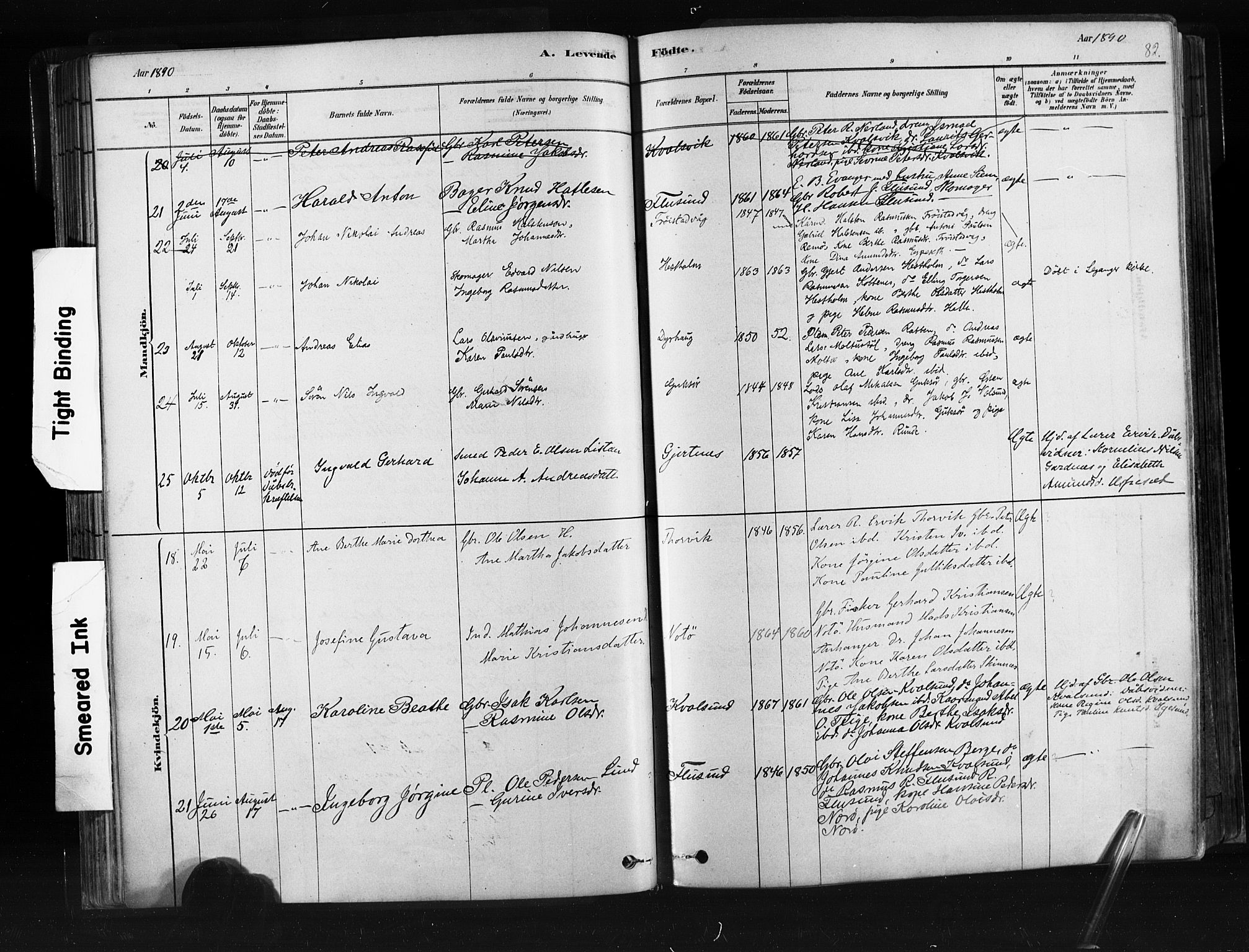 Ministerialprotokoller, klokkerbøker og fødselsregistre - Møre og Romsdal, AV/SAT-A-1454/507/L0073: Parish register (official) no. 507A08, 1878-1904, p. 82