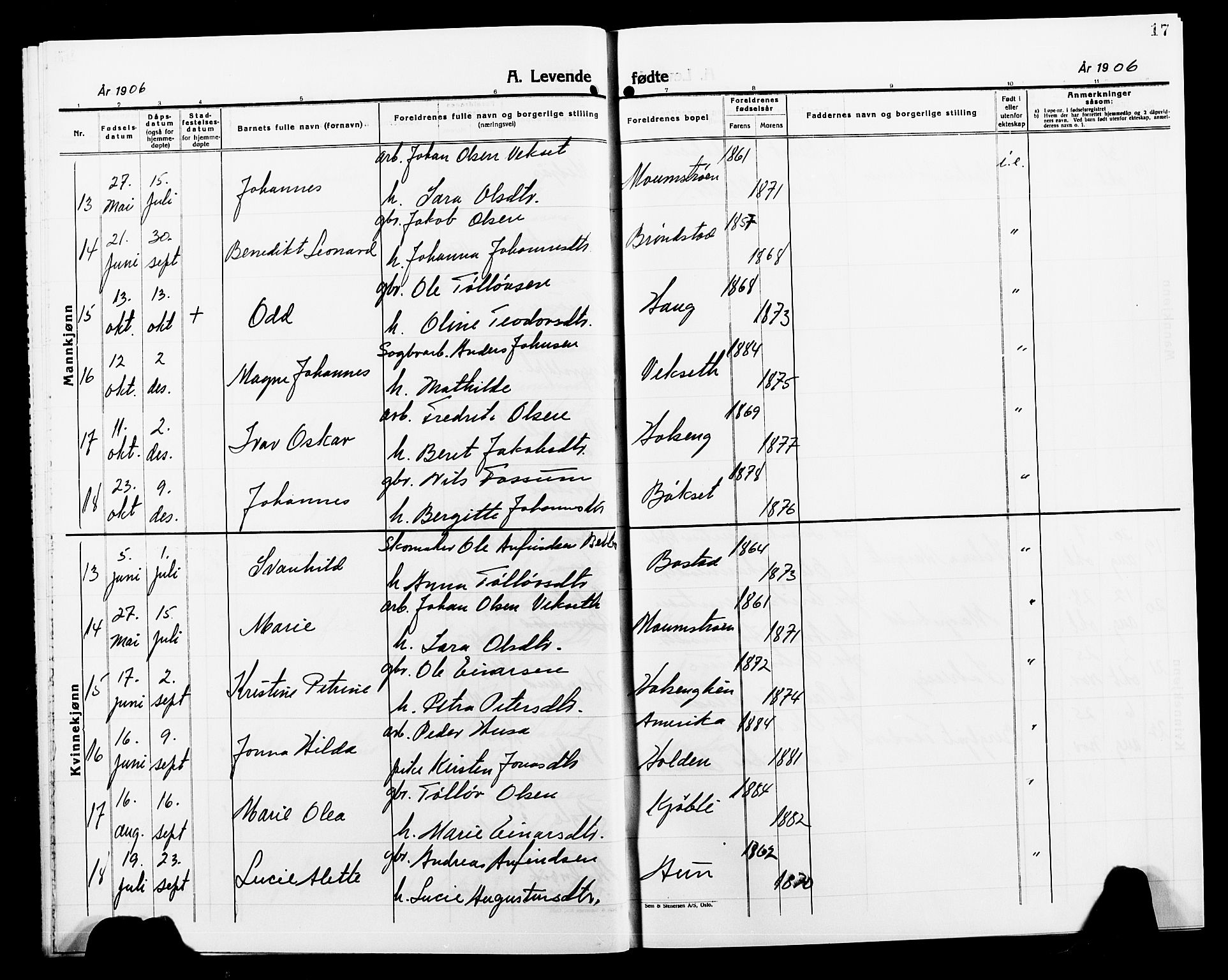 Ministerialprotokoller, klokkerbøker og fødselsregistre - Nord-Trøndelag, SAT/A-1458/749/L0488: Parish register (official) no. 749D04, 1903-1915, p. 17