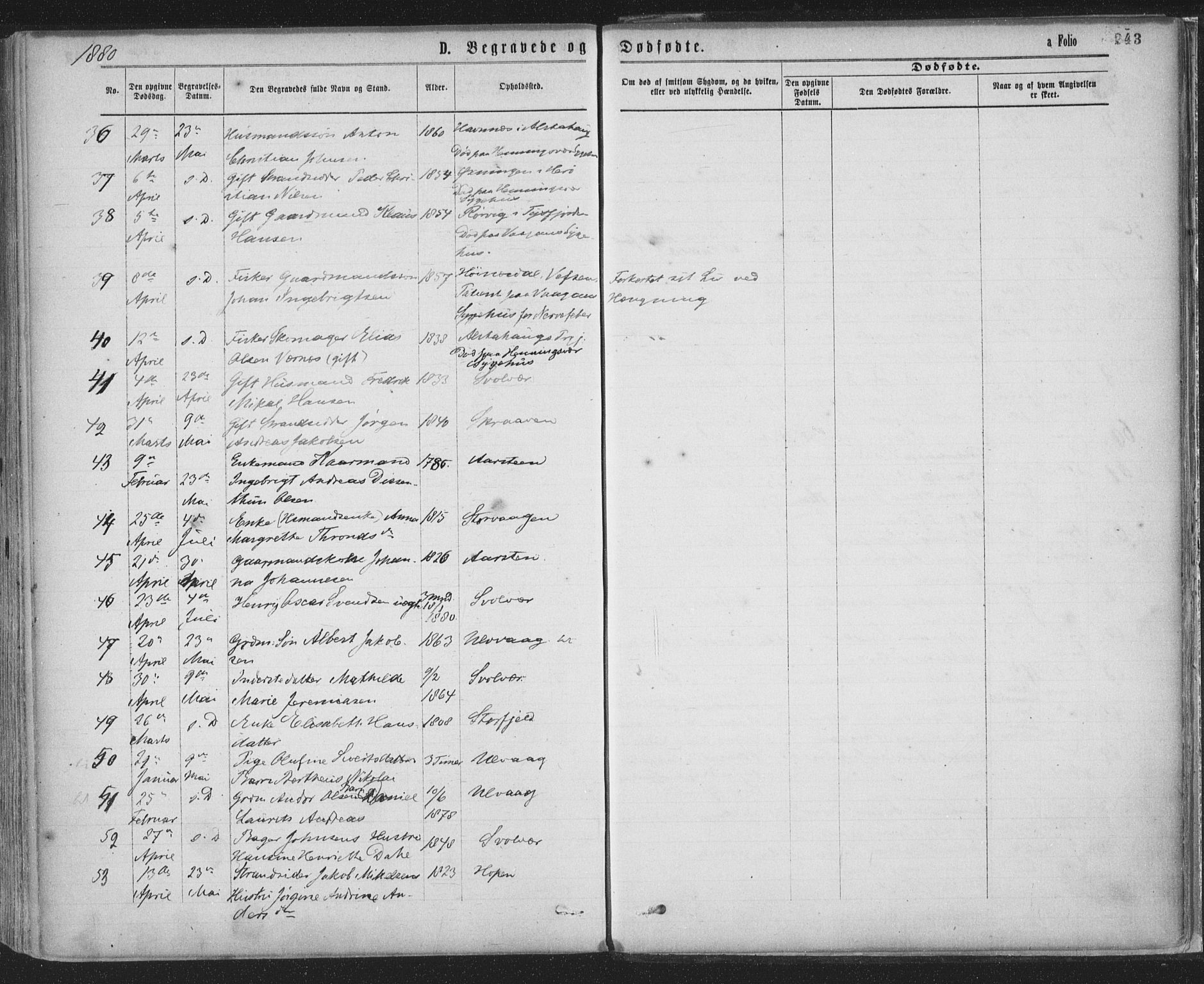 Ministerialprotokoller, klokkerbøker og fødselsregistre - Nordland, SAT/A-1459/874/L1058: Parish register (official) no. 874A02, 1878-1883, p. 243