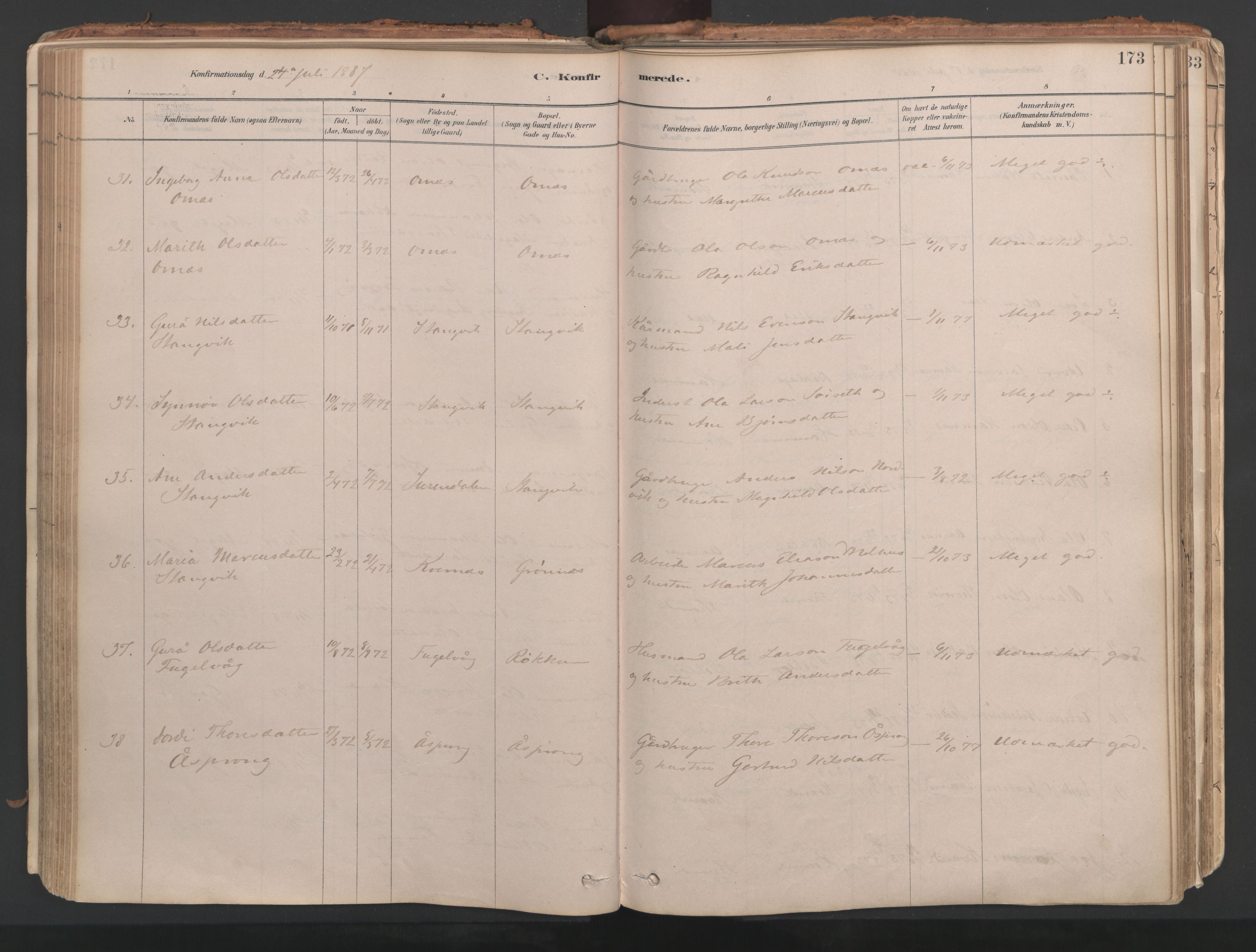 Ministerialprotokoller, klokkerbøker og fødselsregistre - Møre og Romsdal, AV/SAT-A-1454/592/L1029: Parish register (official) no. 592A07, 1879-1902, p. 173