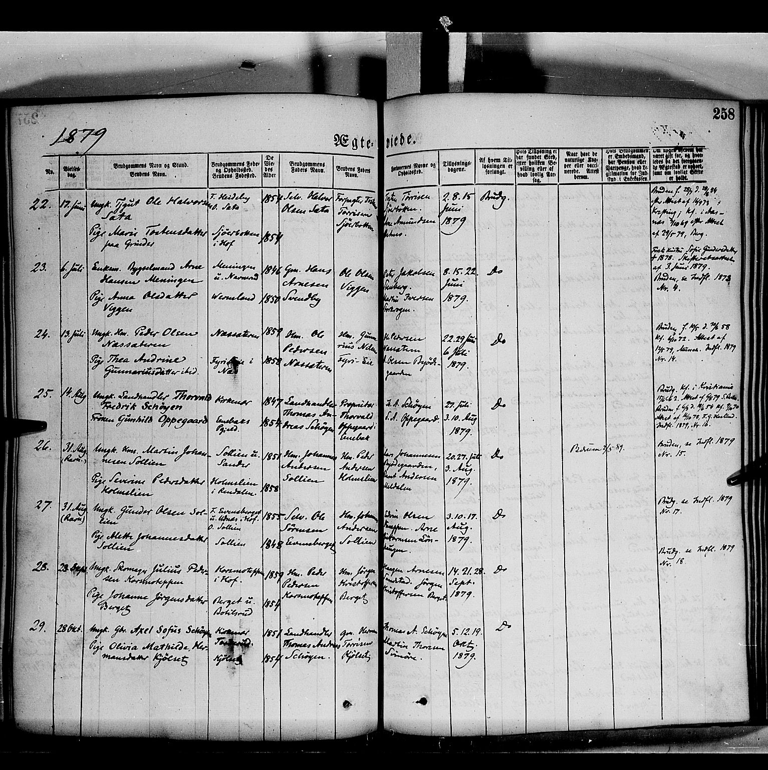 Grue prestekontor, AV/SAH-PREST-036/H/Ha/Haa/L0011: Parish register (official) no. 11, 1873-1880, p. 258