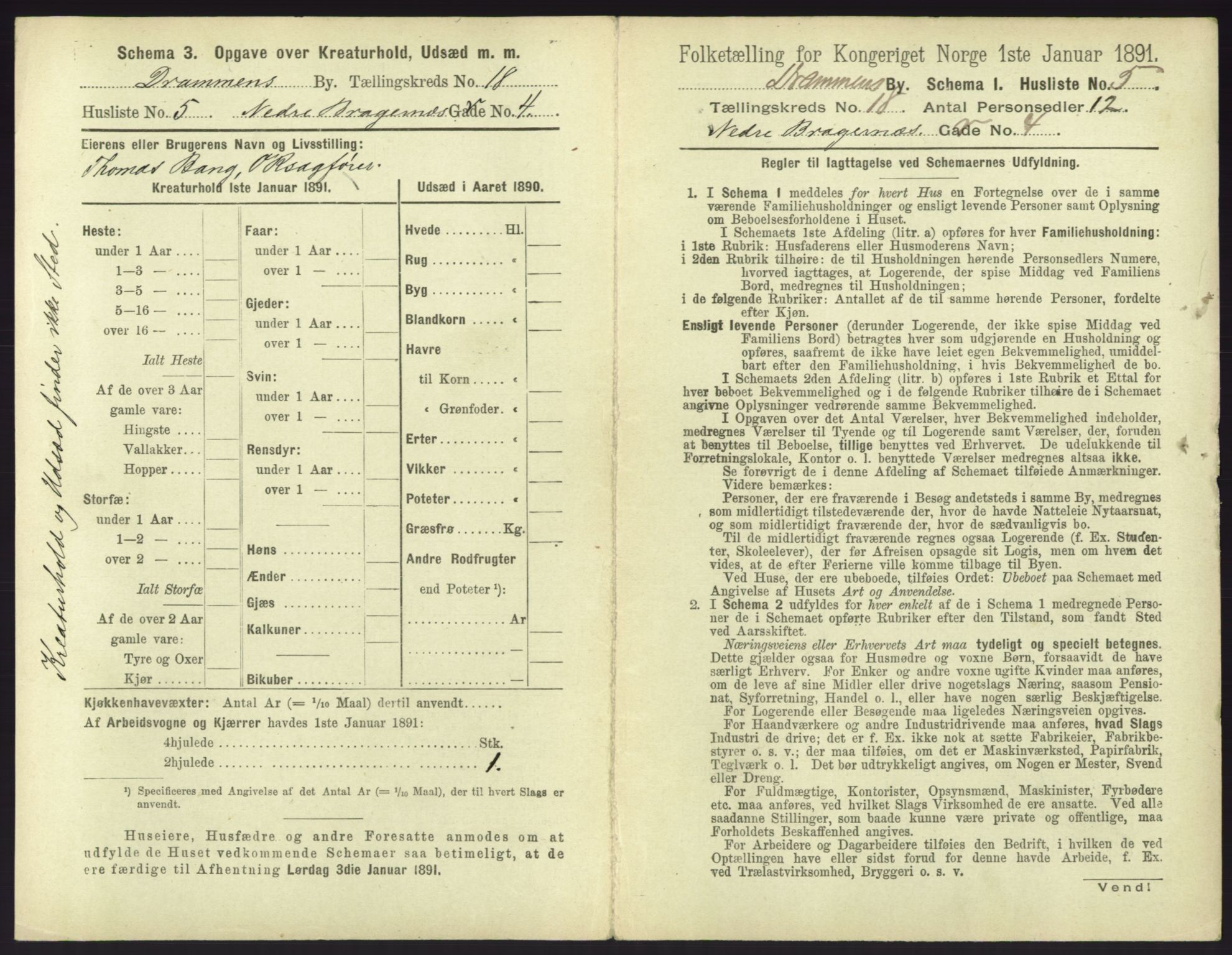 RA, 1891 census for 0602 Drammen, 1891, p. 1497