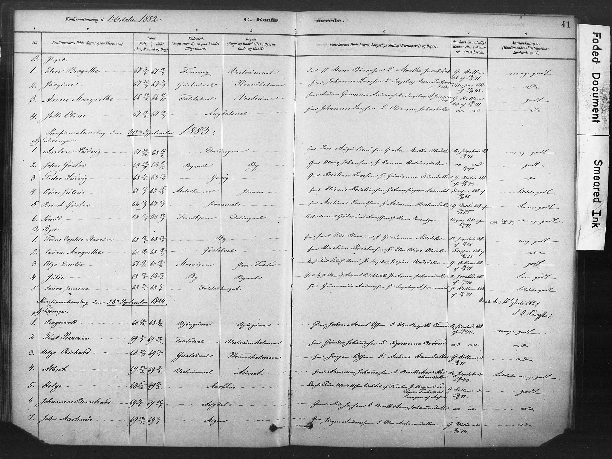 Ministerialprotokoller, klokkerbøker og fødselsregistre - Nord-Trøndelag, AV/SAT-A-1458/719/L0178: Parish register (official) no. 719A01, 1878-1900, p. 41