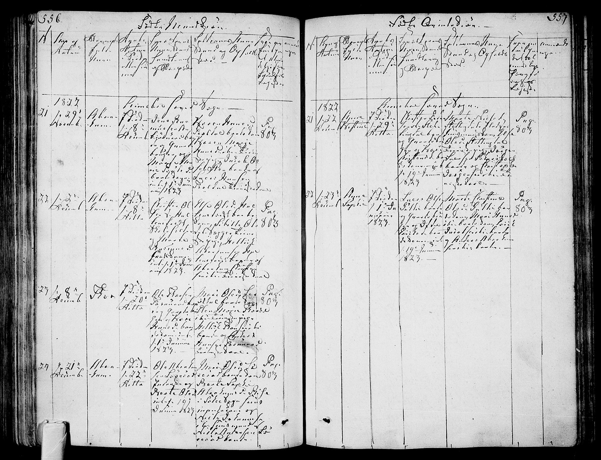 Andebu kirkebøker, AV/SAKO-A-336/F/Fa/L0003: Parish register (official) no. I 3 /1, 1803-1828, p. 556-557
