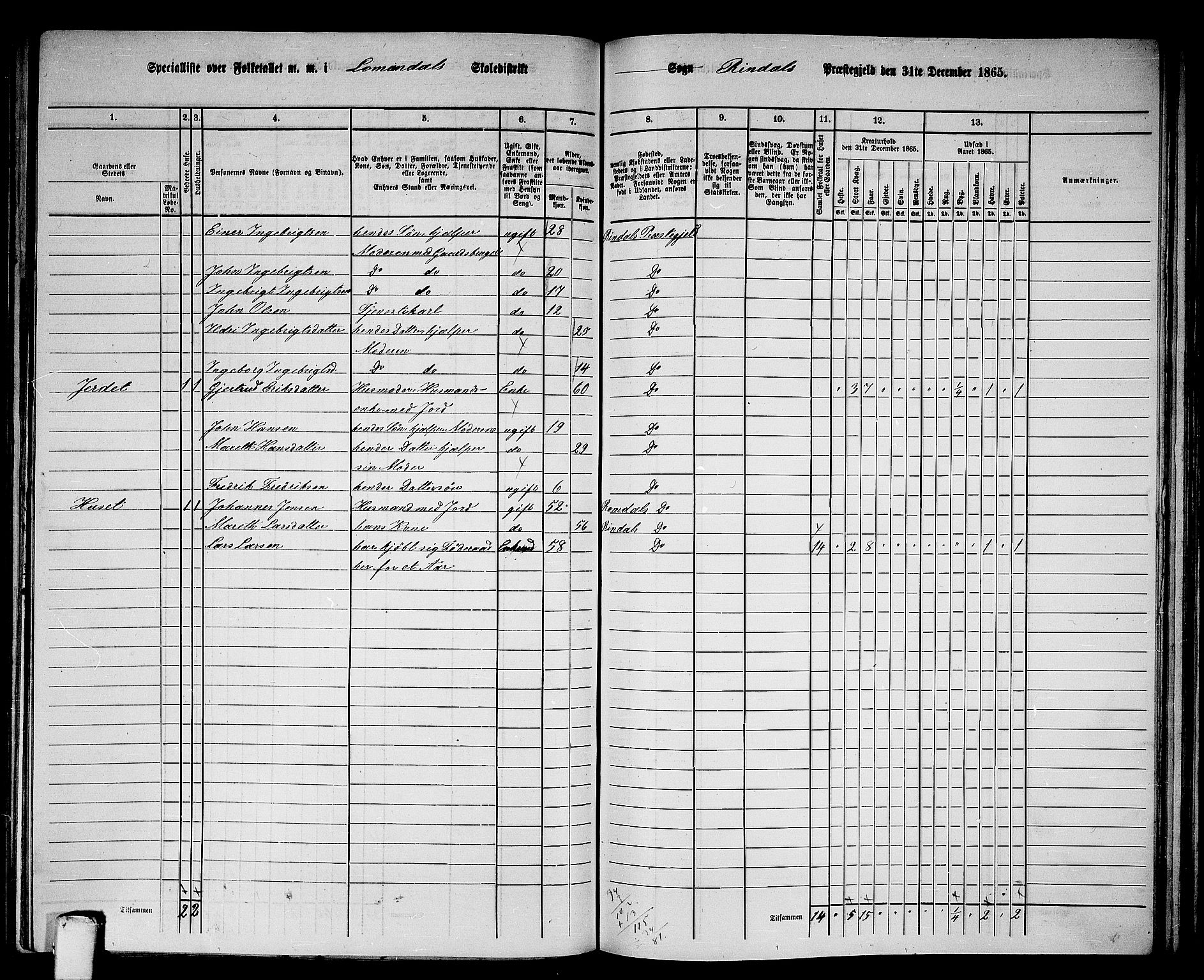 RA, 1865 census for Rindal, 1865, p. 22