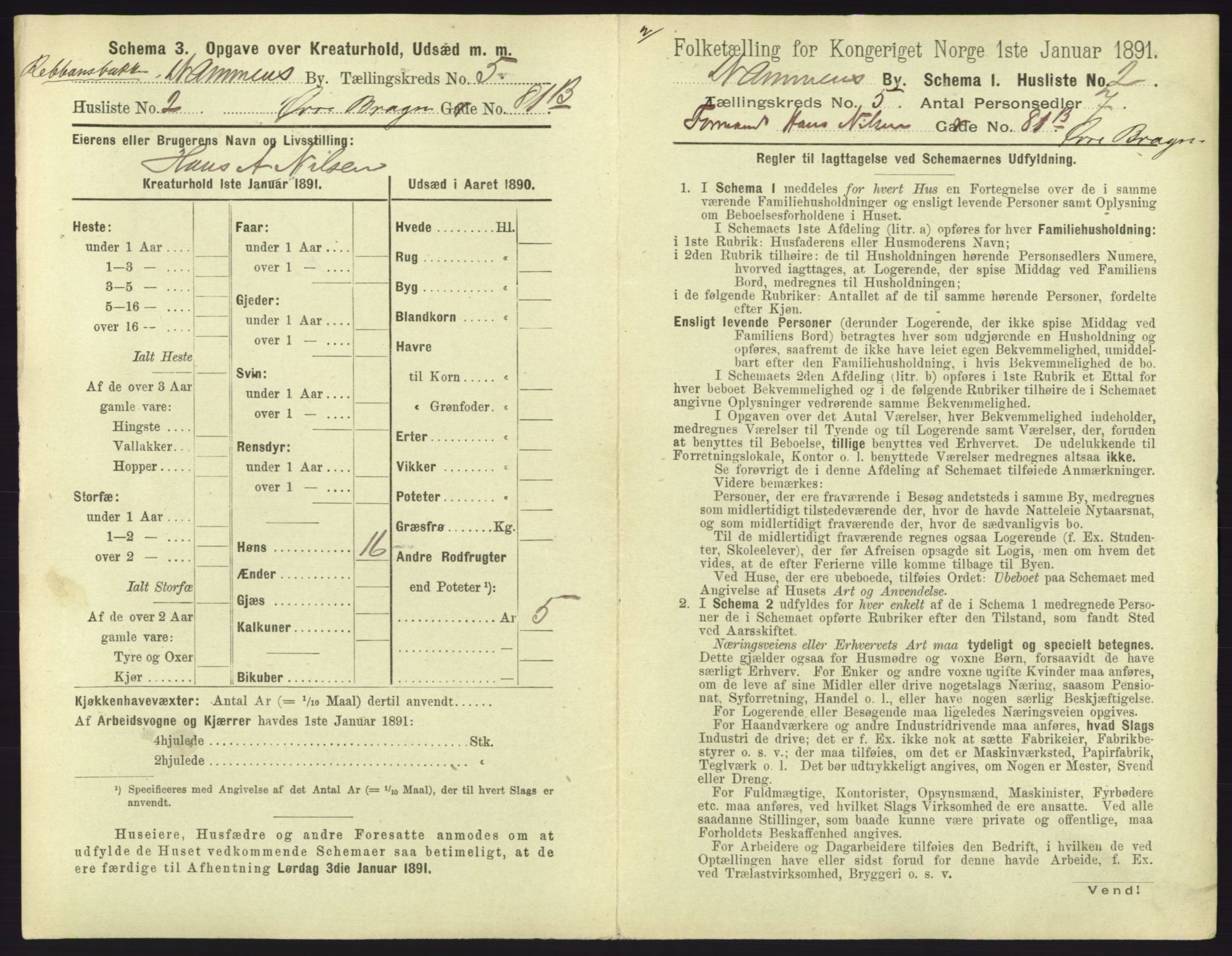 RA, 1891 census for 0602 Drammen, 1891, p. 437