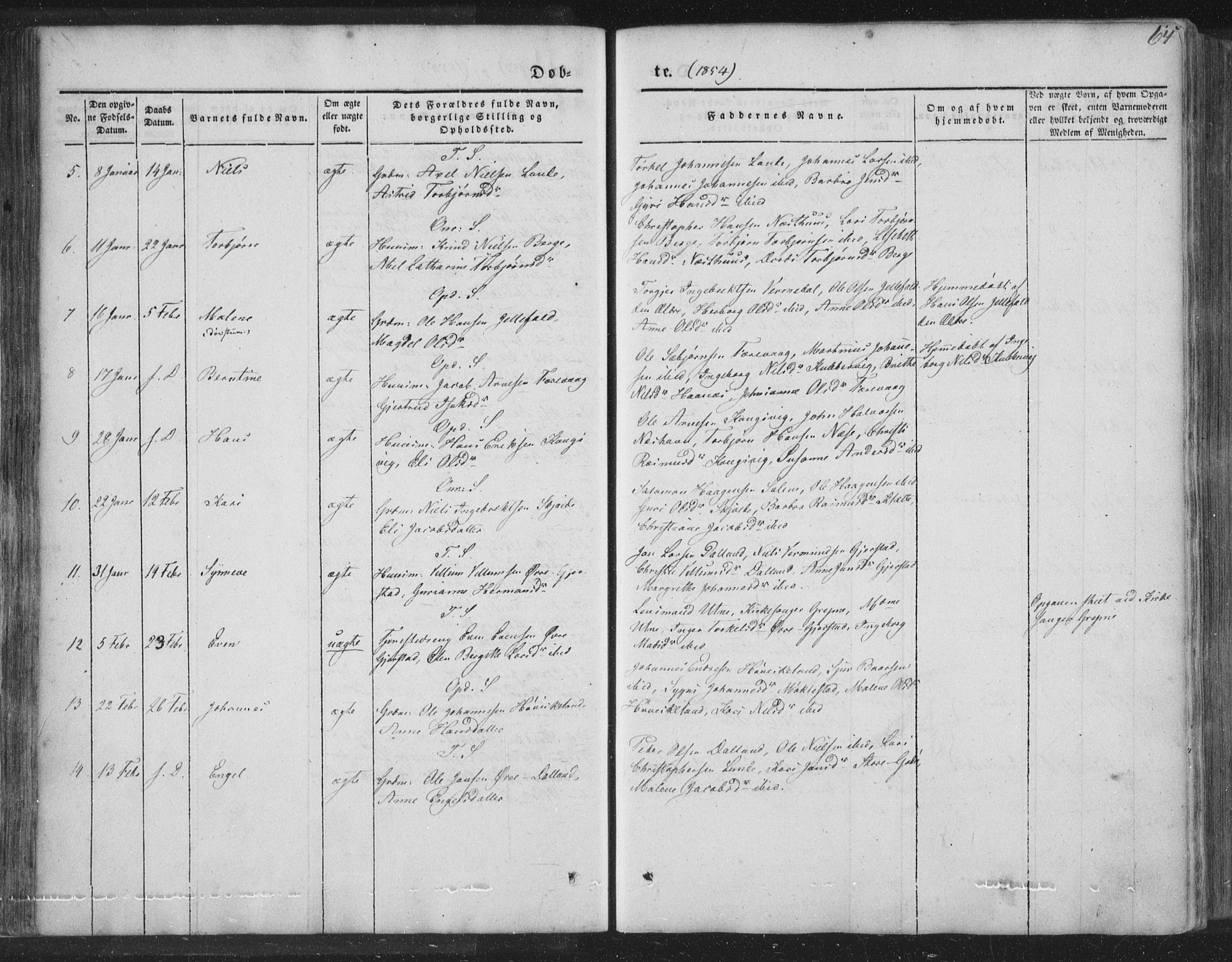 Tysnes sokneprestembete, AV/SAB-A-78601/H/Haa: Parish register (official) no. A 10, 1848-1859, p. 64