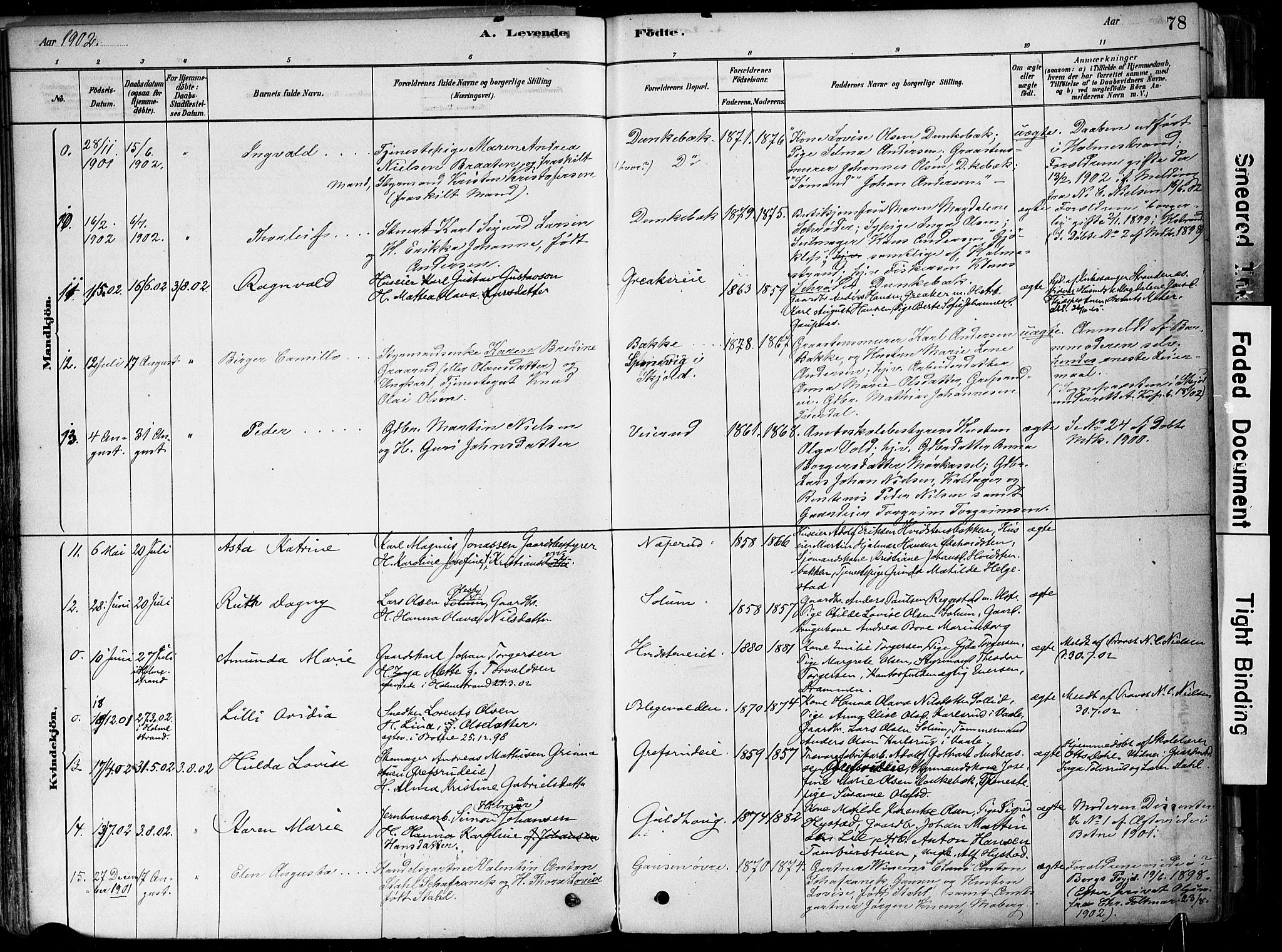 Botne kirkebøker, AV/SAKO-A-340/F/Fa/L0007: Parish register (official) no. I 7, 1878-1910, p. 78