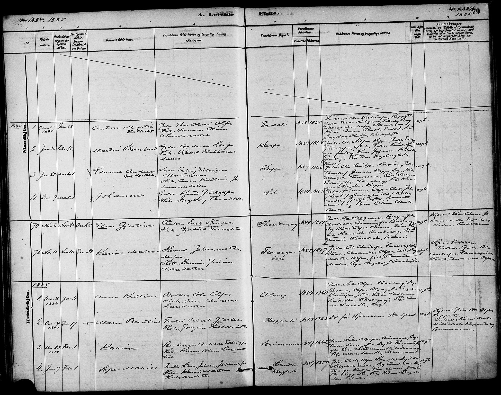 Askøy Sokneprestembete, SAB/A-74101/H/Ha/Haa/Haab/L0001: Parish register (official) no. B 1, 1878-1889, p. 79