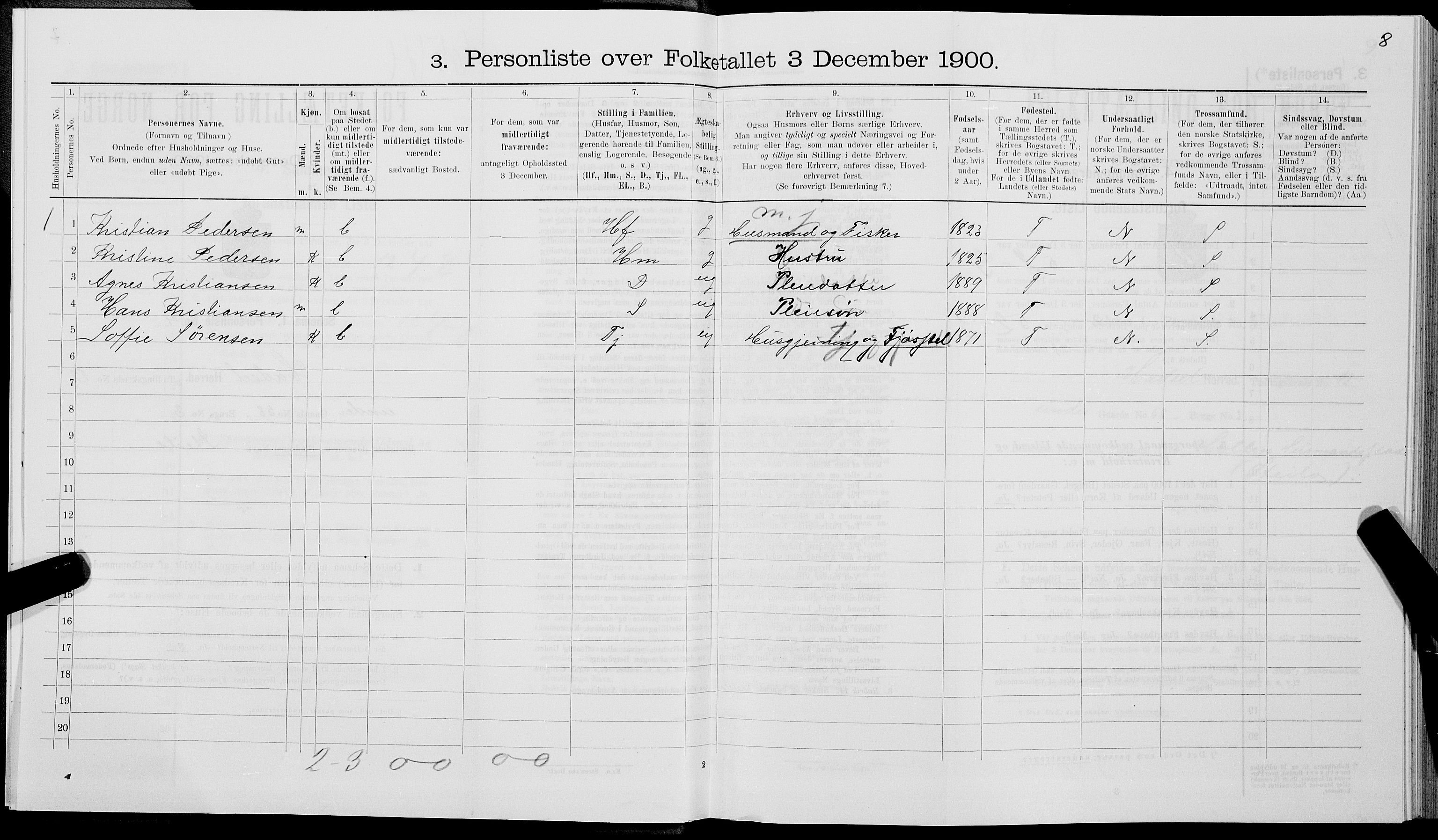 SAT, 1900 census for Hadsel, 1900, p. 1113