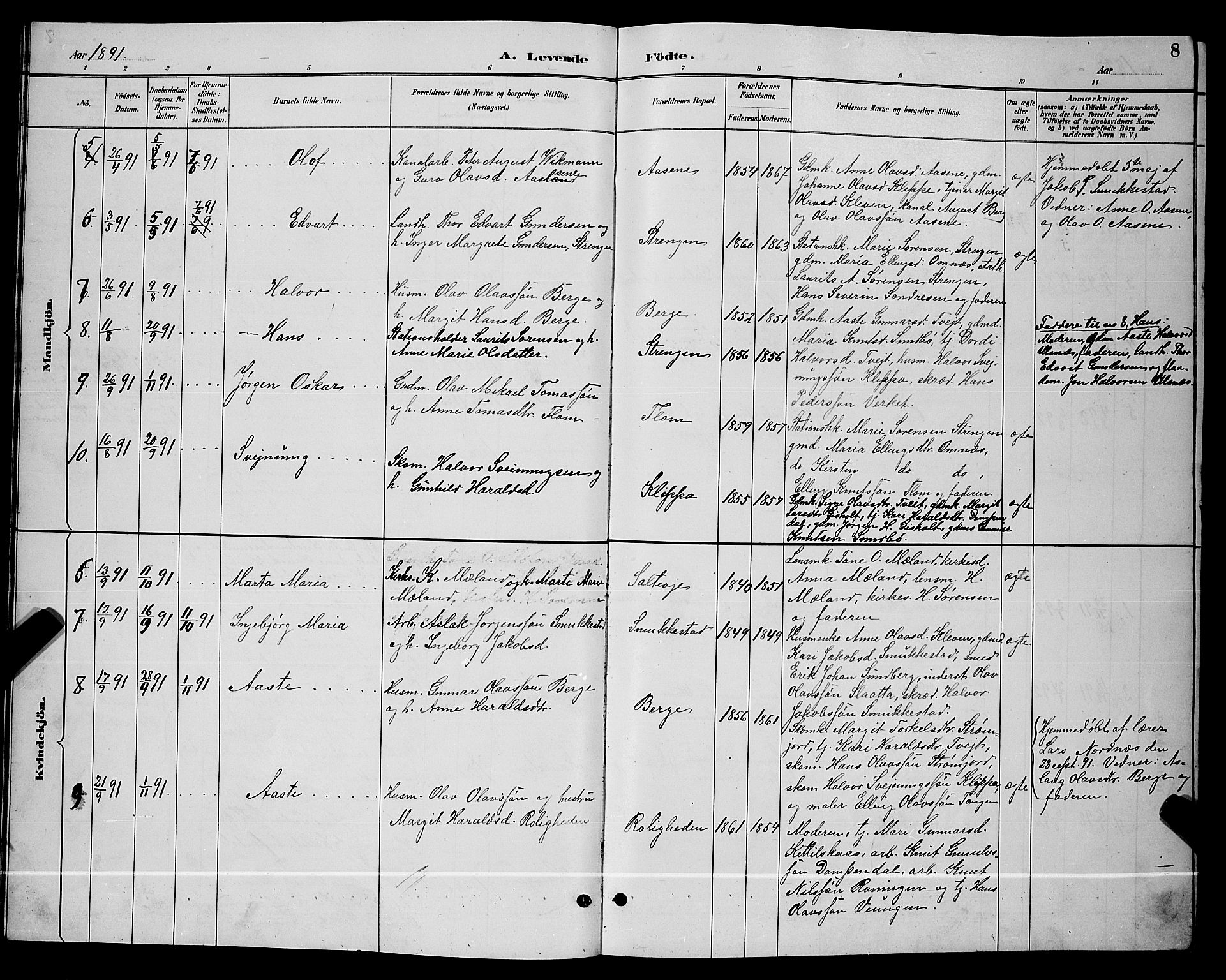 Lunde kirkebøker, SAKO/A-282/G/Gb/L0002: Parish register (copy) no. II 2, 1888-1895, p. 8