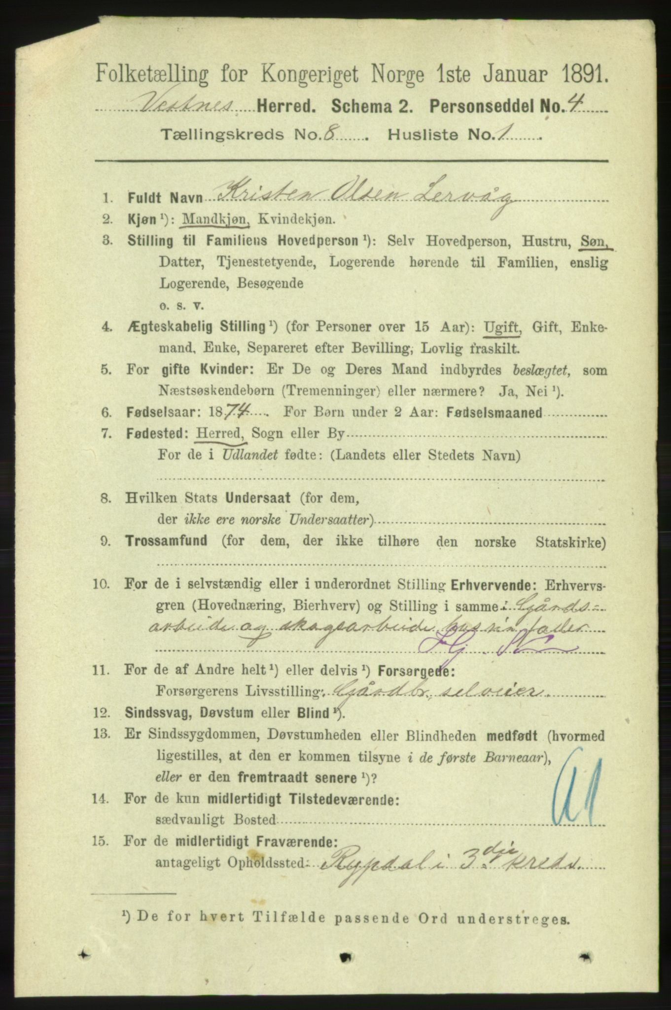 RA, 1891 census for 1535 Vestnes, 1891, p. 3156