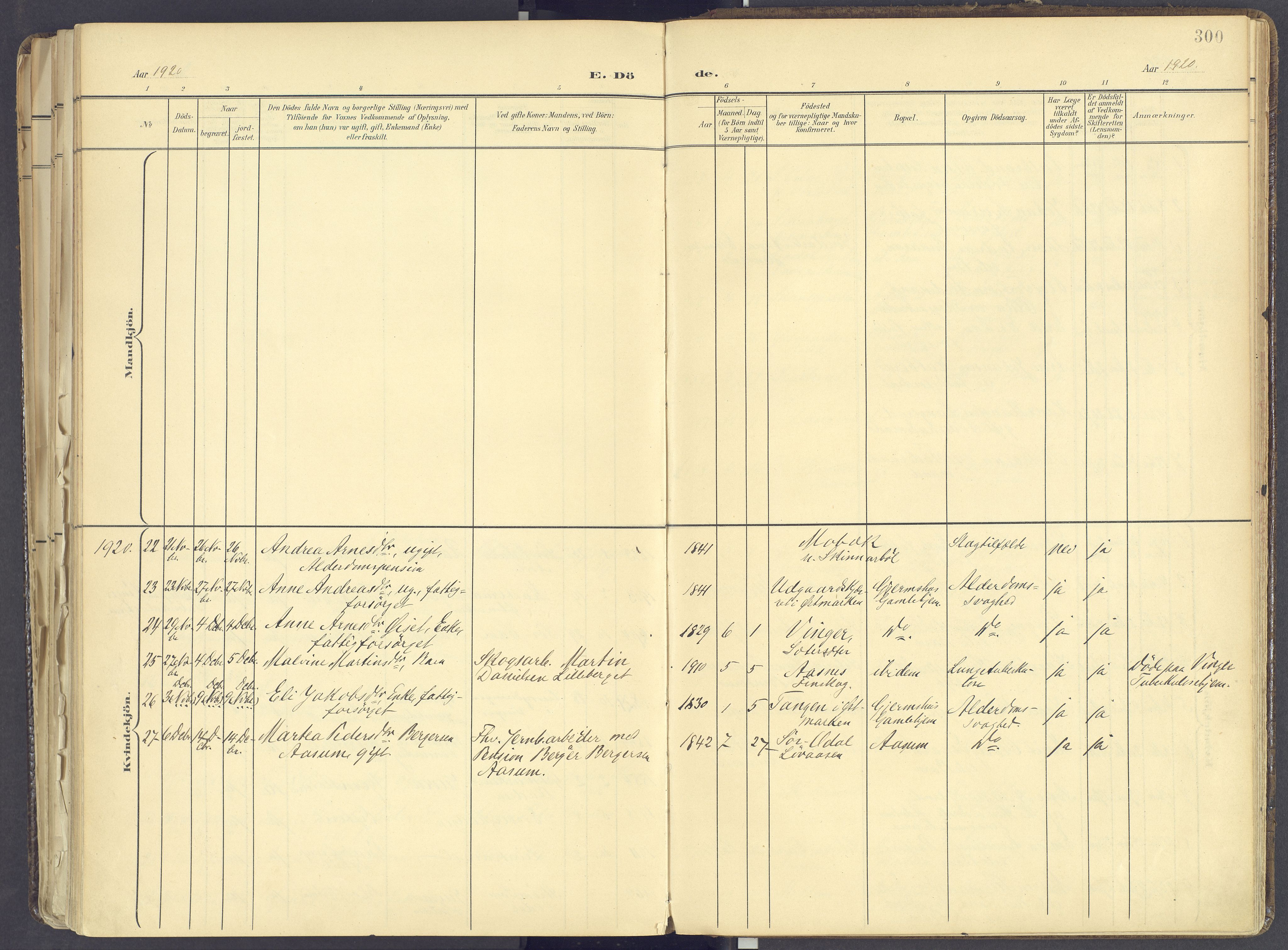 Vinger prestekontor, AV/SAH-PREST-024/H/Ha/Haa/L0017: Parish register (official) no. 17, 1901-1927, p. 300