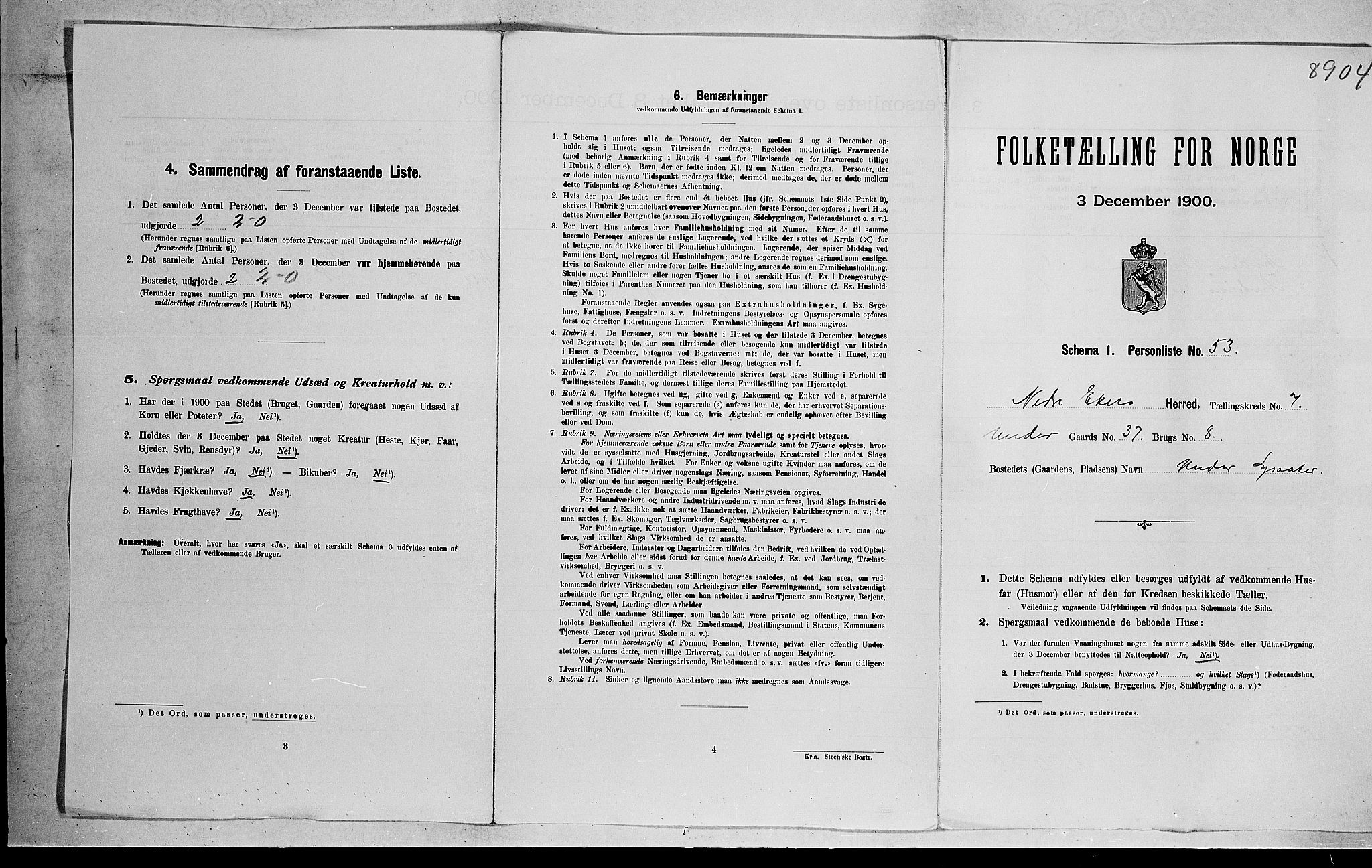 RA, 1900 census for Nedre Eiker, 1900, p. 31