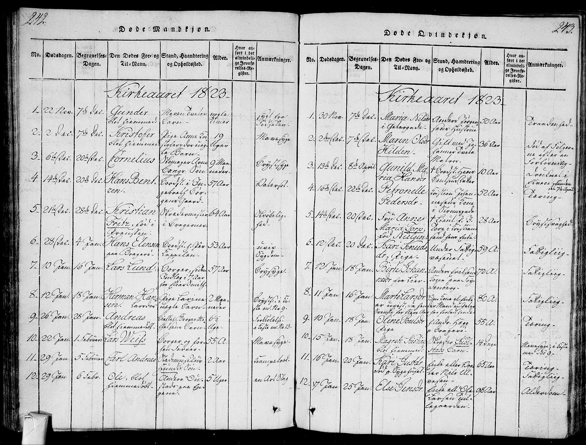 Bragernes kirkebøker, SAKO/A-6/G/Ga/L0001: Parish register (copy) no. 1, 1815-1829, p. 242-243