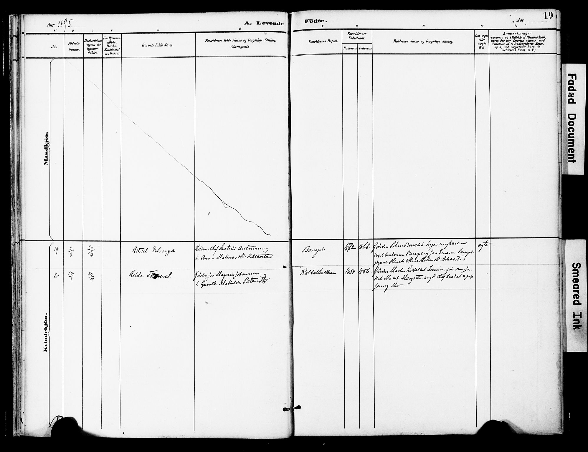 Ministerialprotokoller, klokkerbøker og fødselsregistre - Nord-Trøndelag, SAT/A-1458/742/L0409: Parish register (official) no. 742A02, 1891-1905, p. 19
