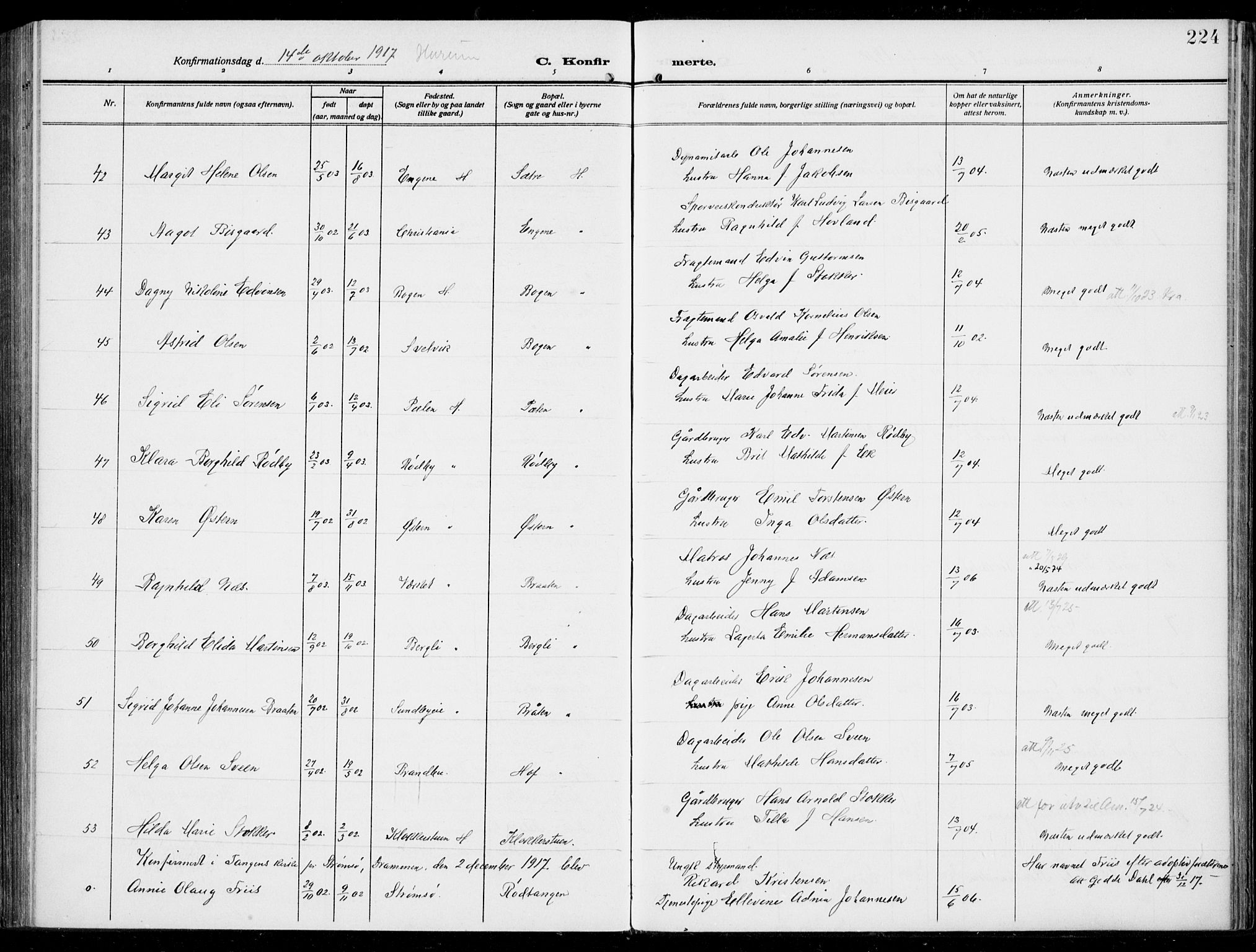Hurum kirkebøker, AV/SAKO-A-229/F/Fa/L0016: Parish register (official) no. 16, 1899-1918, p. 224