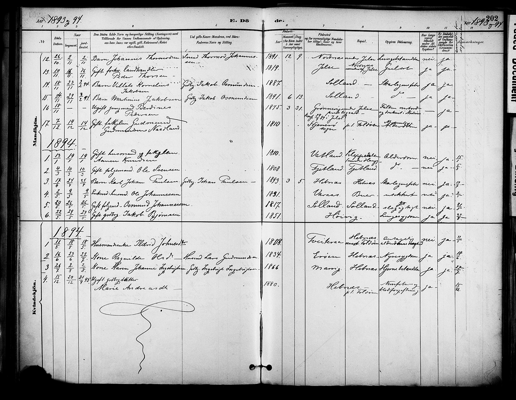 Jelsa sokneprestkontor, SAST/A-101842/01/IV: Parish register (official) no. A 10, 1884-1906, p. 202
