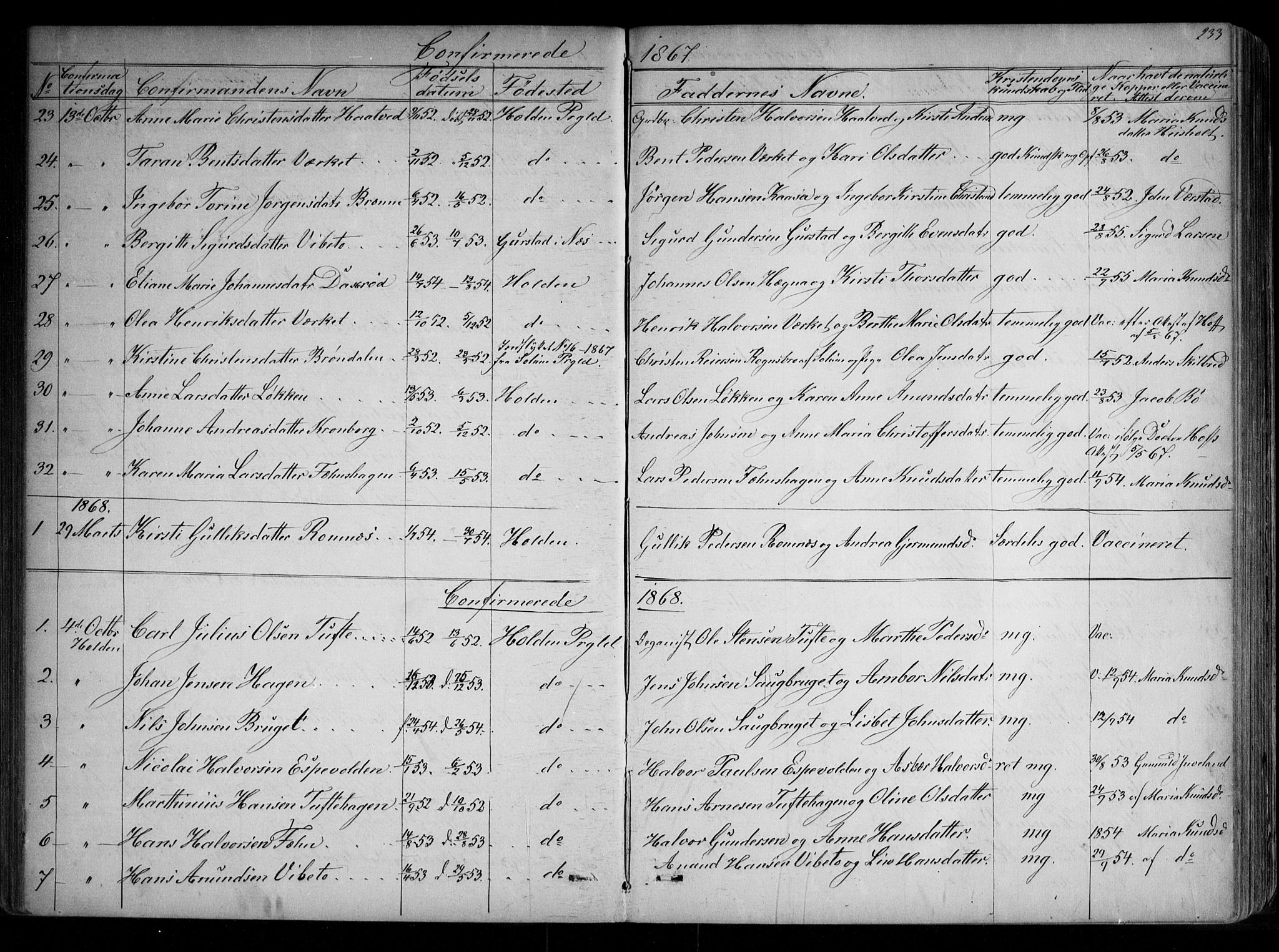 Holla kirkebøker, SAKO/A-272/G/Ga/L0004: Parish register (copy) no. I 4, 1867-1890, p. 233