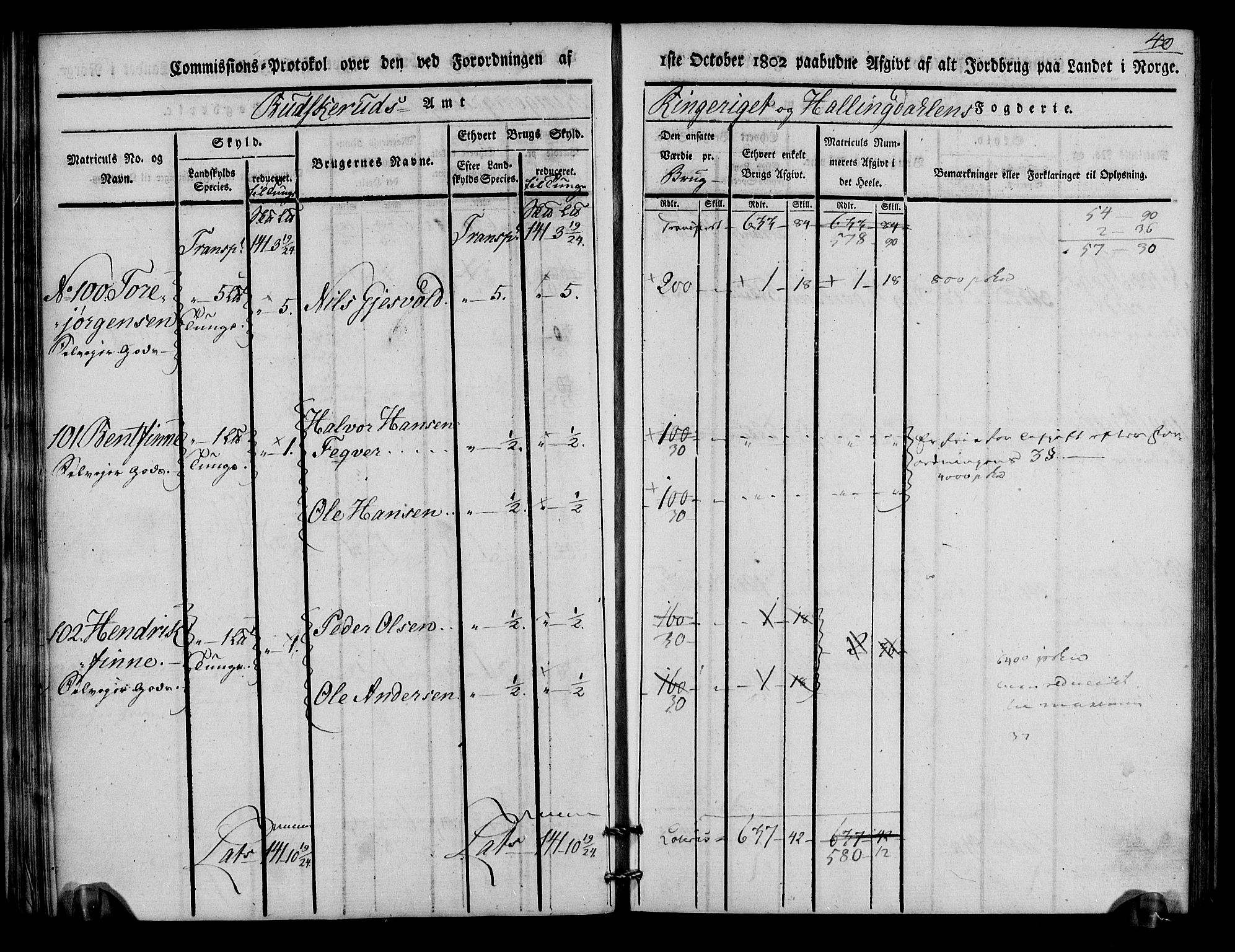 Rentekammeret inntil 1814, Realistisk ordnet avdeling, AV/RA-EA-4070/N/Ne/Nea/L0046: Ringerike og Hallingdal fogderi. Kommisjonsprotokoll for Hole prestegjeld, 1803, p. 41