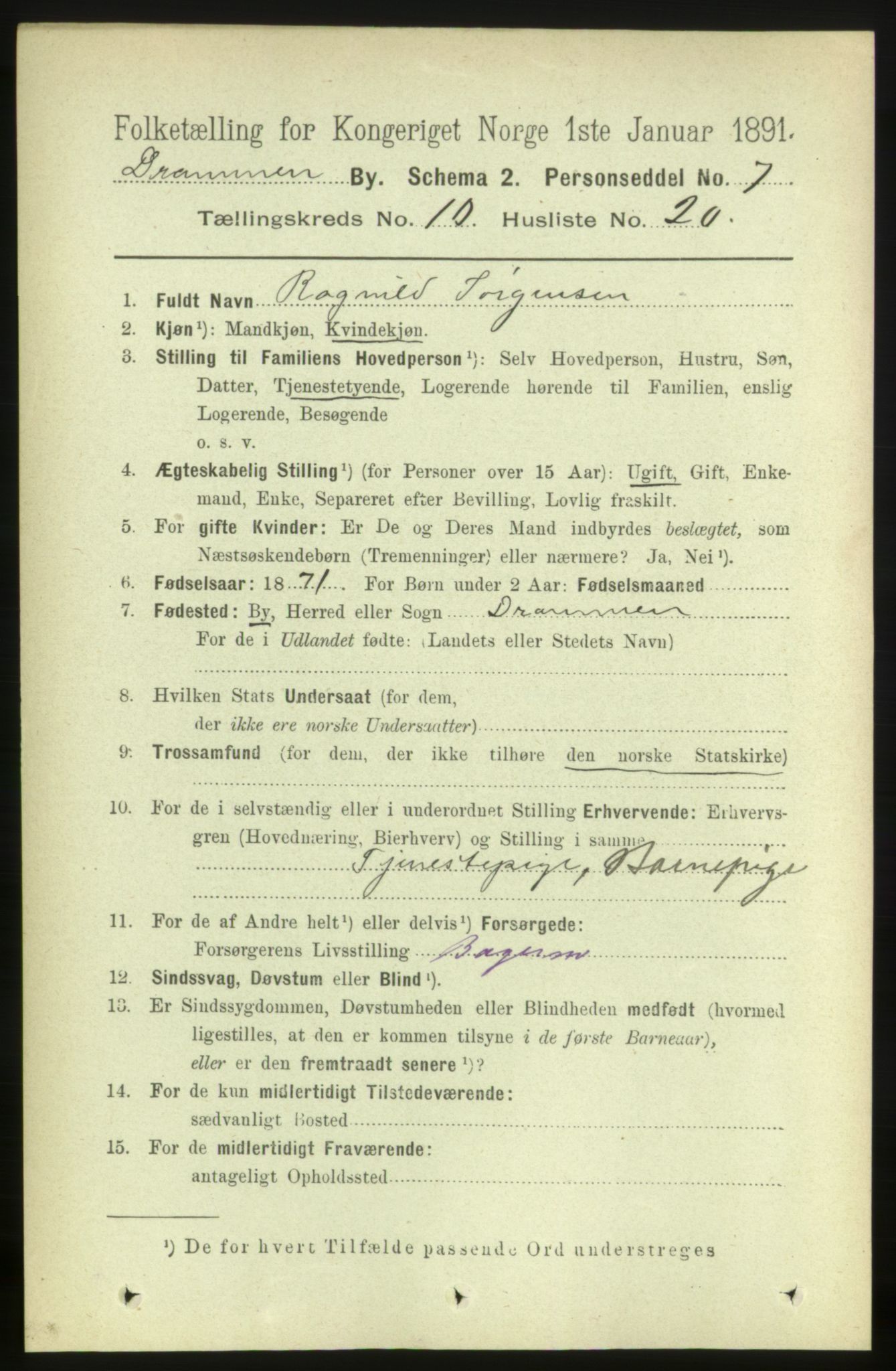 RA, 1891 census for 0602 Drammen, 1891, p. 8198