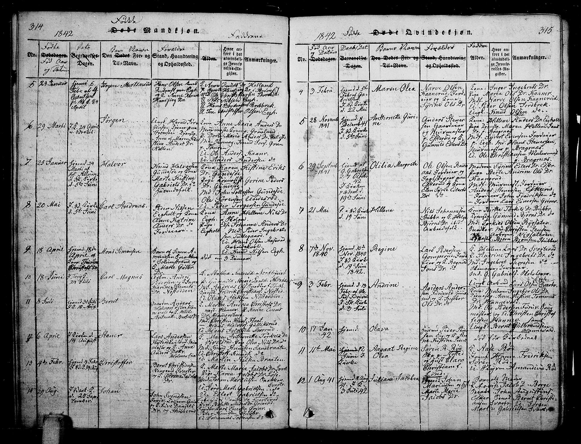 Skoger kirkebøker, AV/SAKO-A-59/G/Ga/L0001: Parish register (copy) no. I 1, 1814-1845, p. 314-315