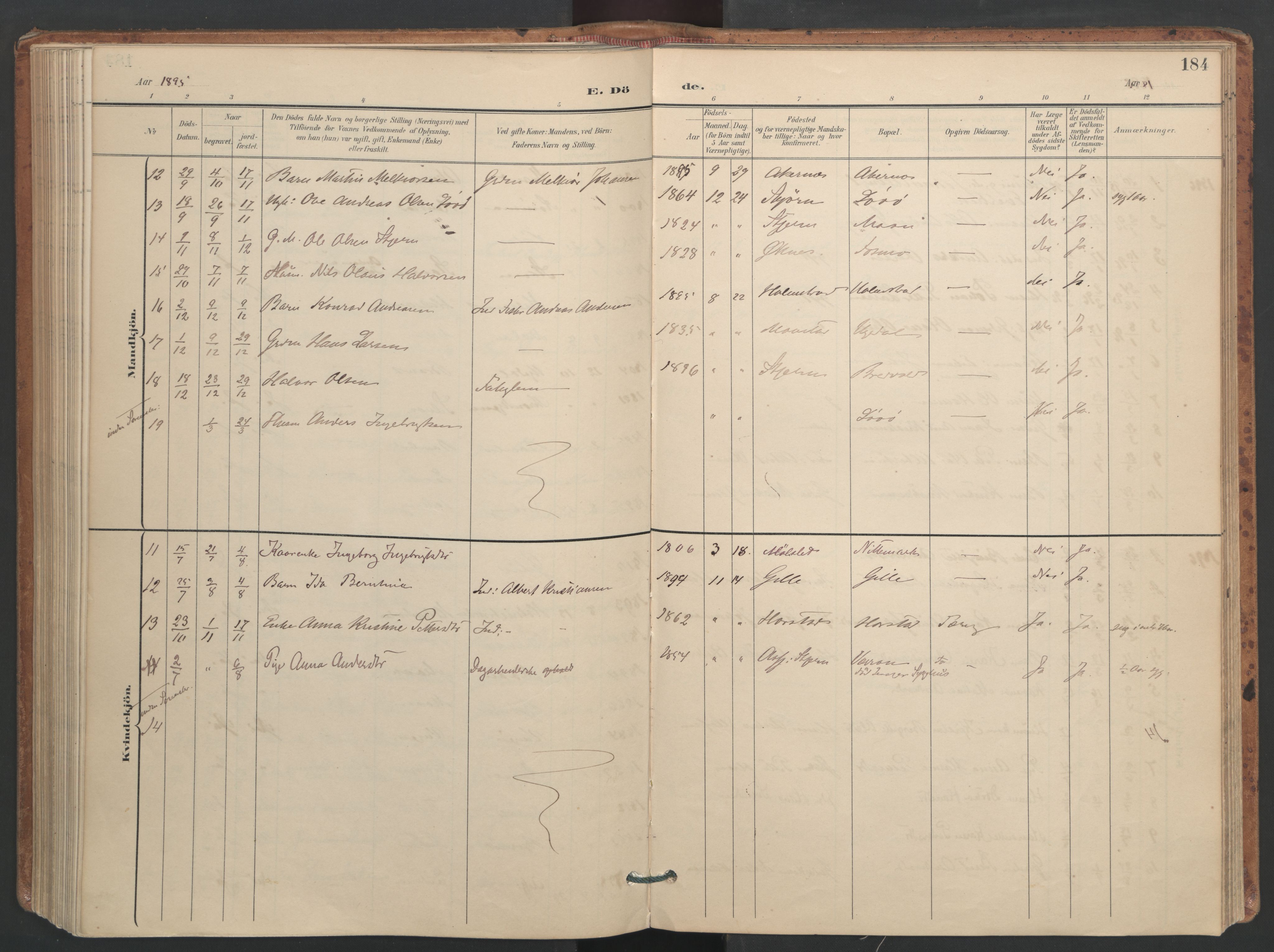 Ministerialprotokoller, klokkerbøker og fødselsregistre - Sør-Trøndelag, SAT/A-1456/655/L0681: Parish register (official) no. 655A10, 1895-1907, p. 184