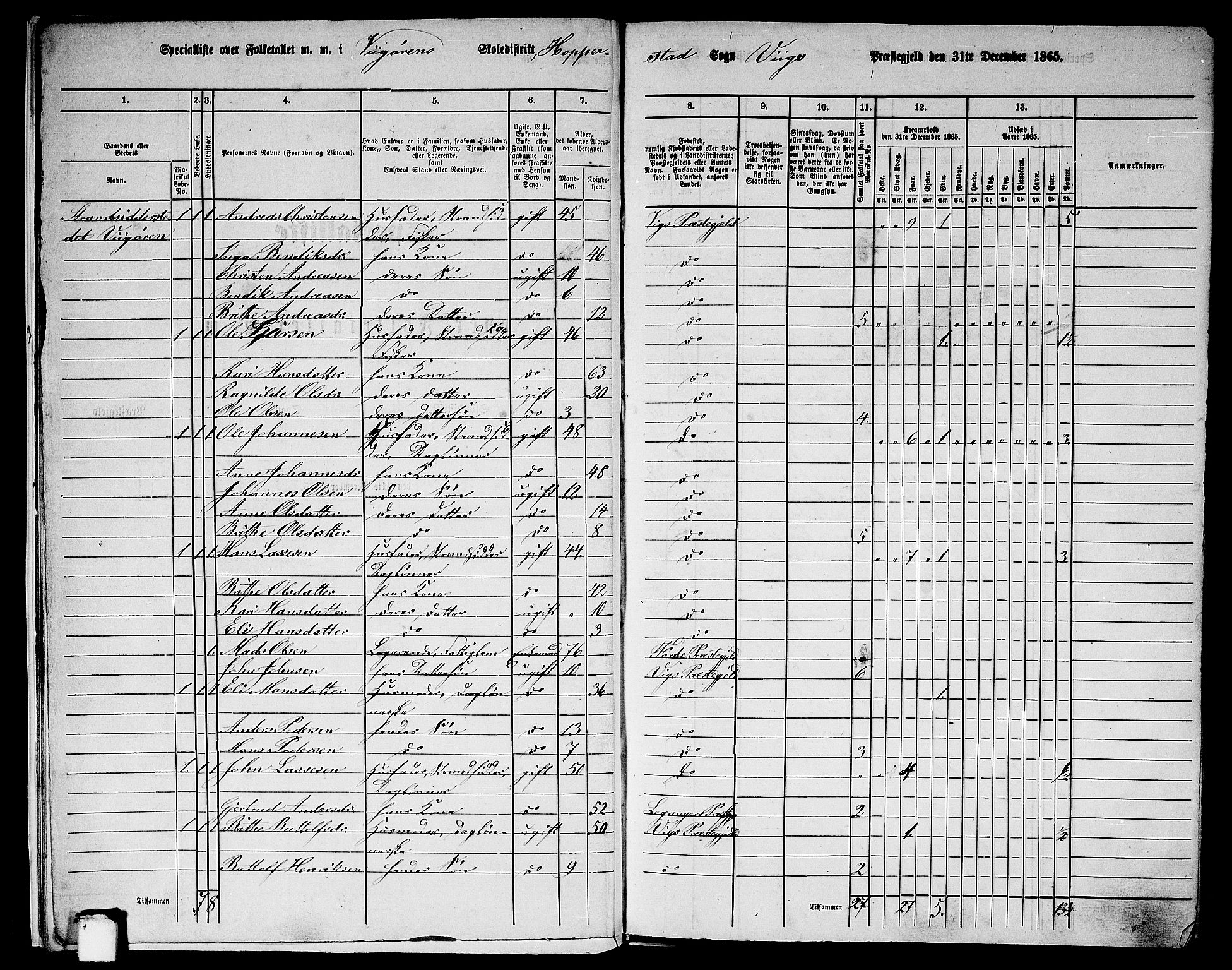 RA, 1865 census for Vik, 1865, p. 11