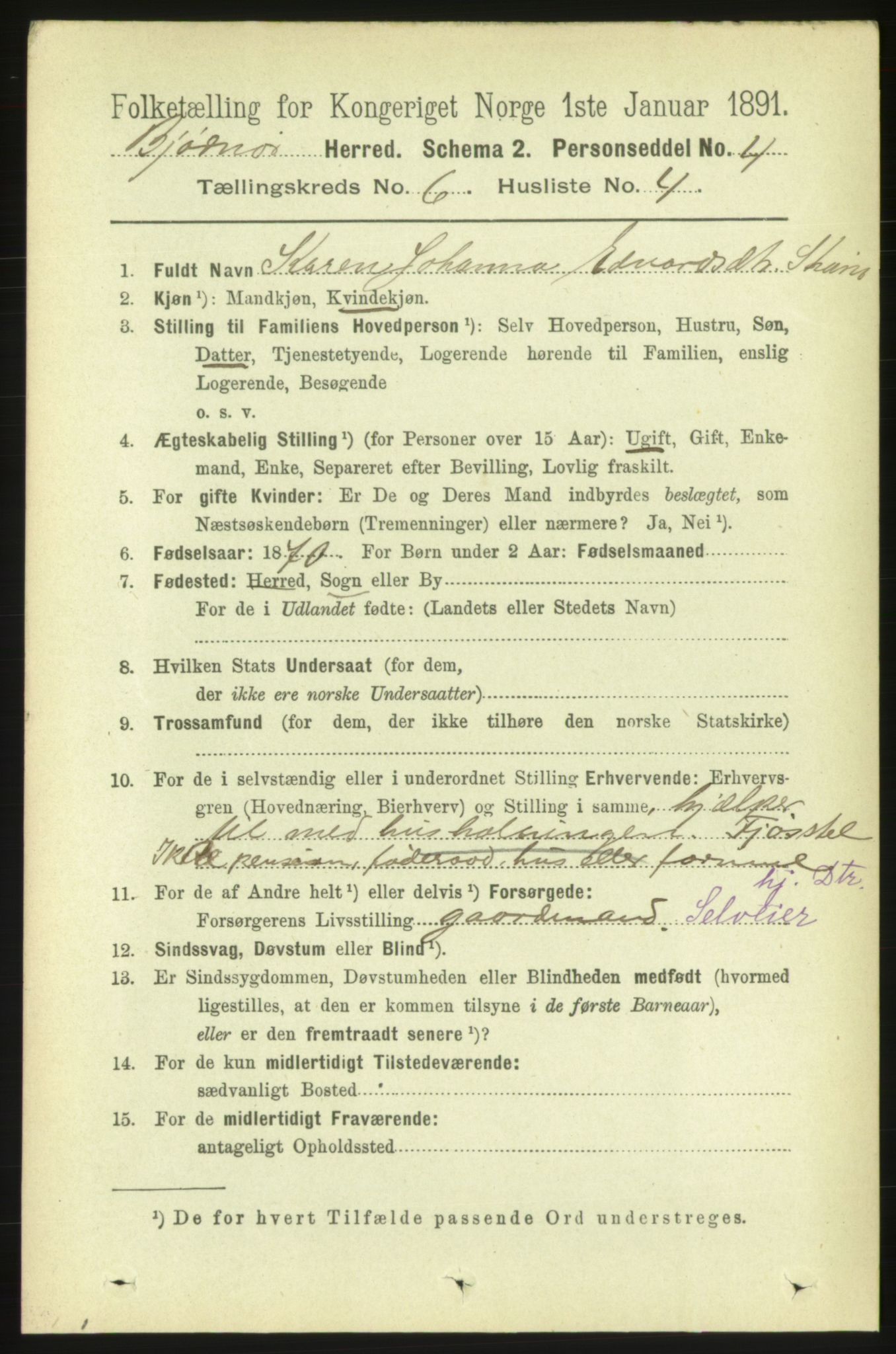 RA, 1891 census for 1632 Bjørnør, 1891, p. 2602