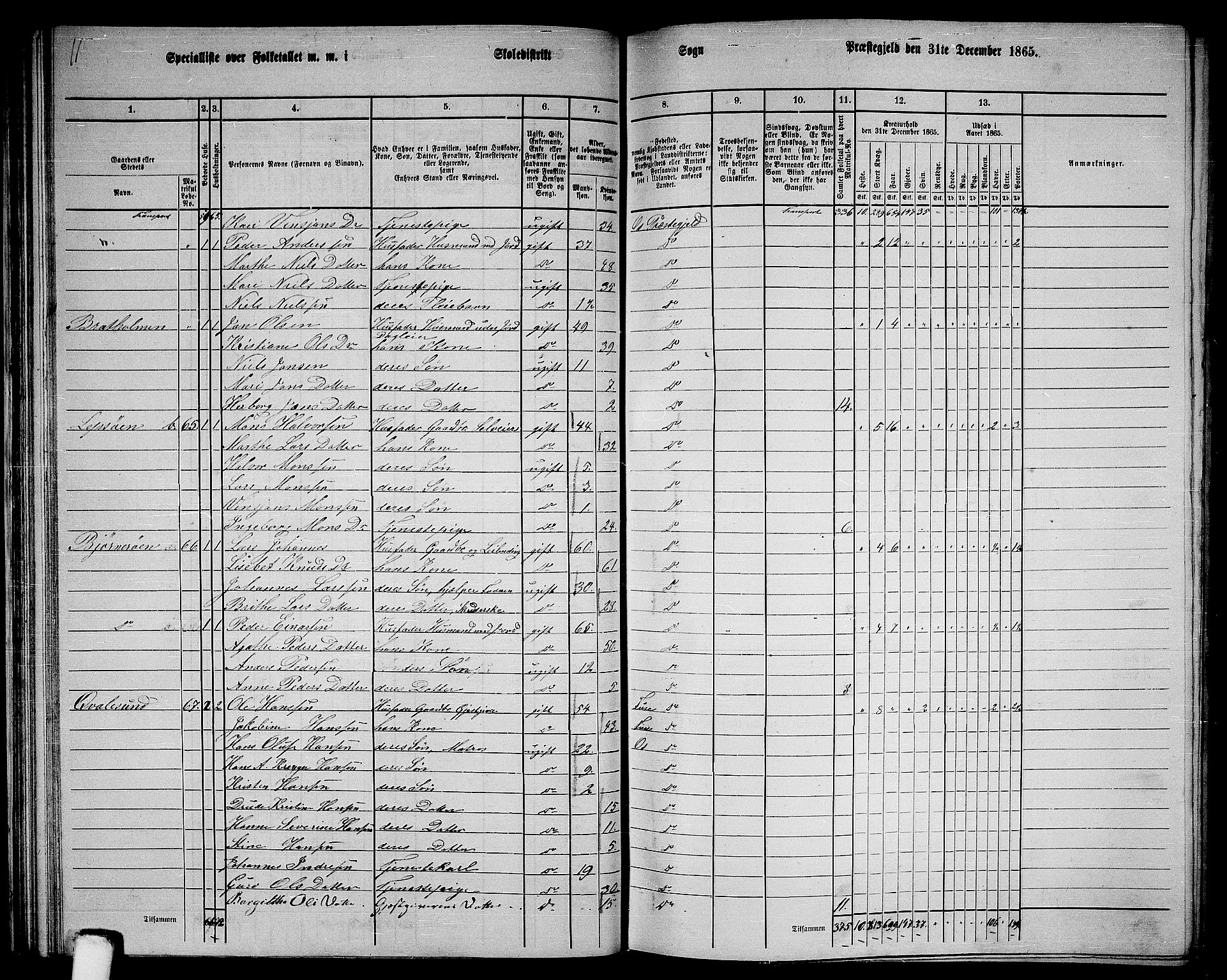 RA, 1865 census for Os, 1865, p. 40
