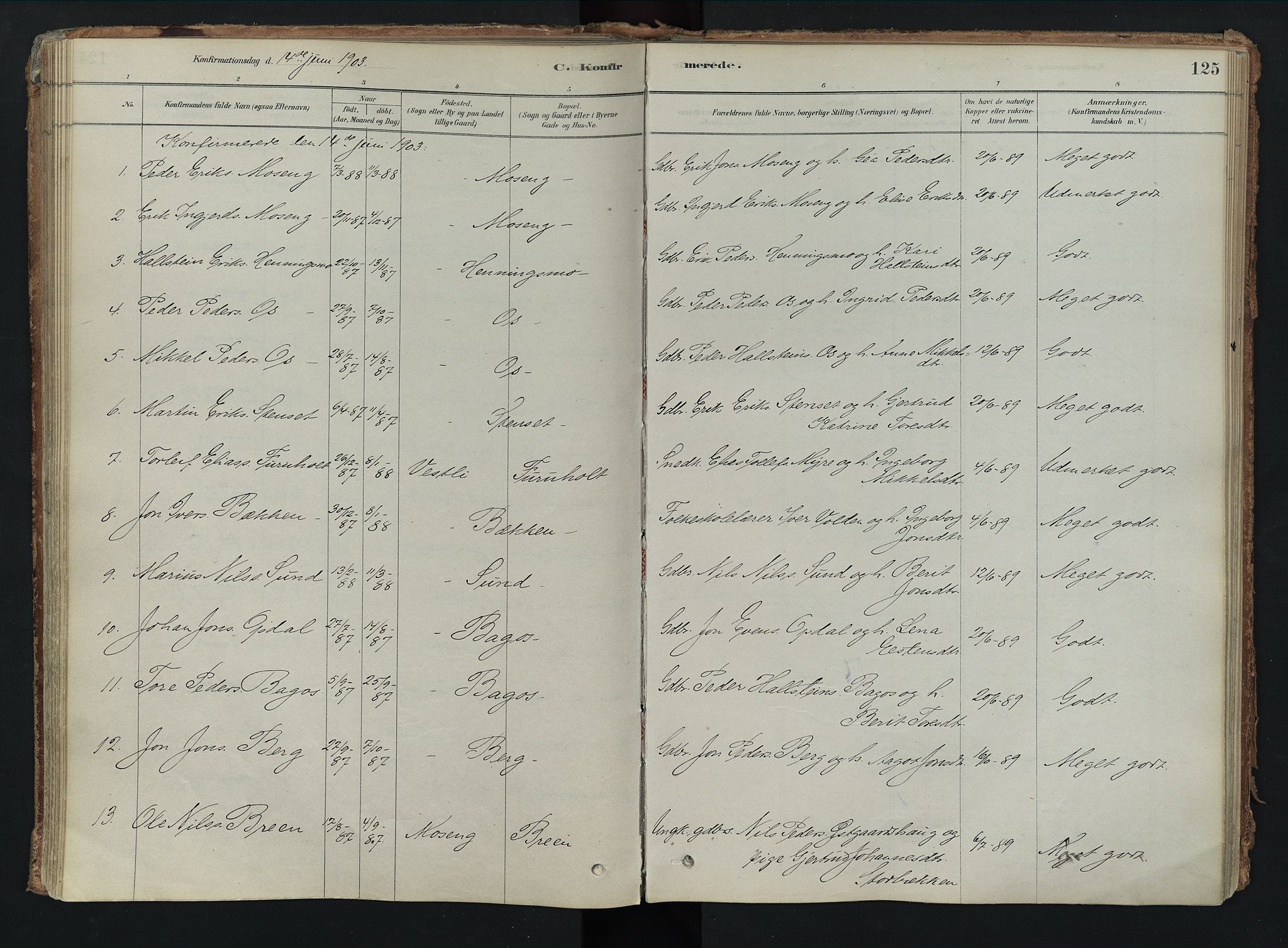 Tolga prestekontor, SAH/PREST-062/K/L0008: Parish register (official) no. 8, 1877-1910, p. 125